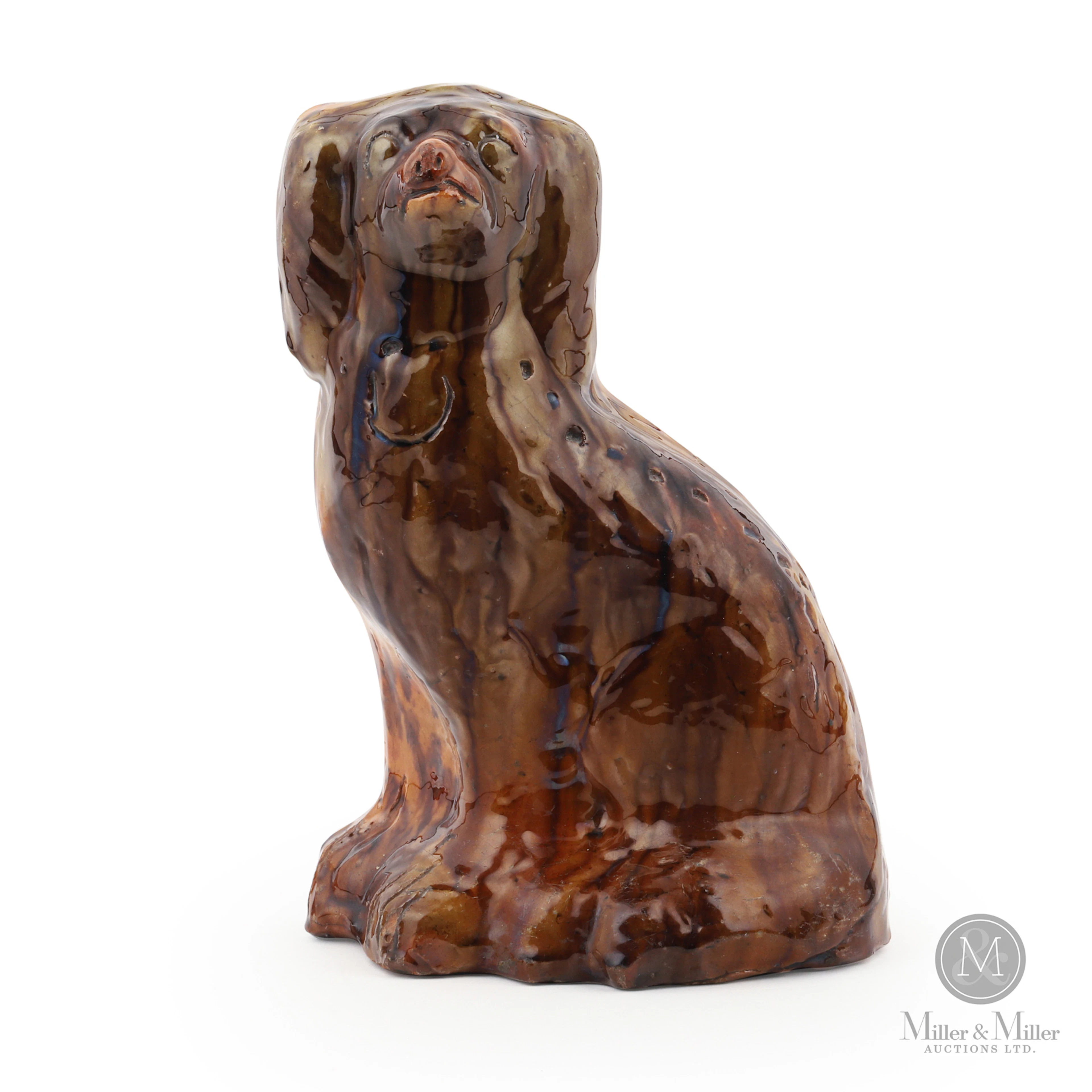 Orth, Campden, King Charles Spaniel