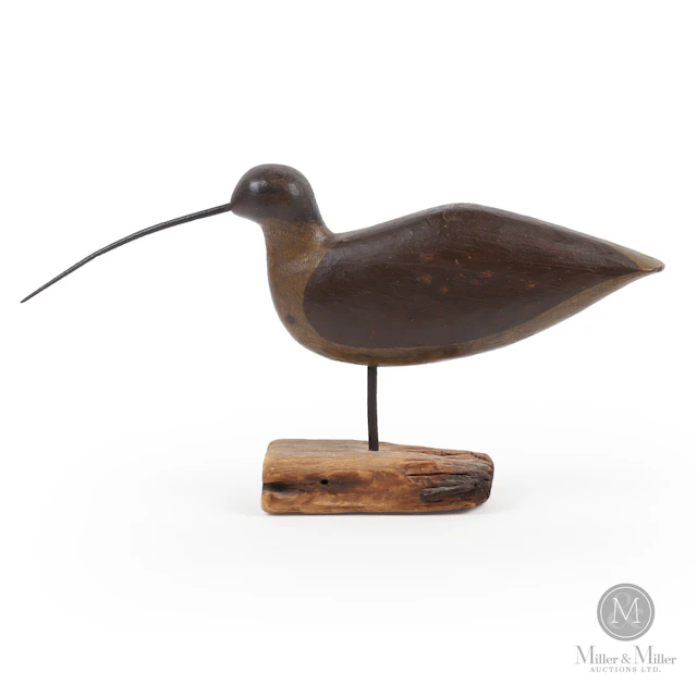 Curlew, Cape May NJ