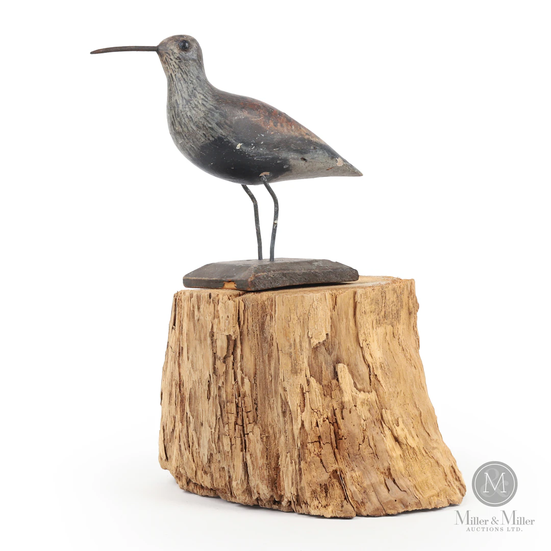 *PREVIEW LOT* Dunlin, Southam Rig, Toronto