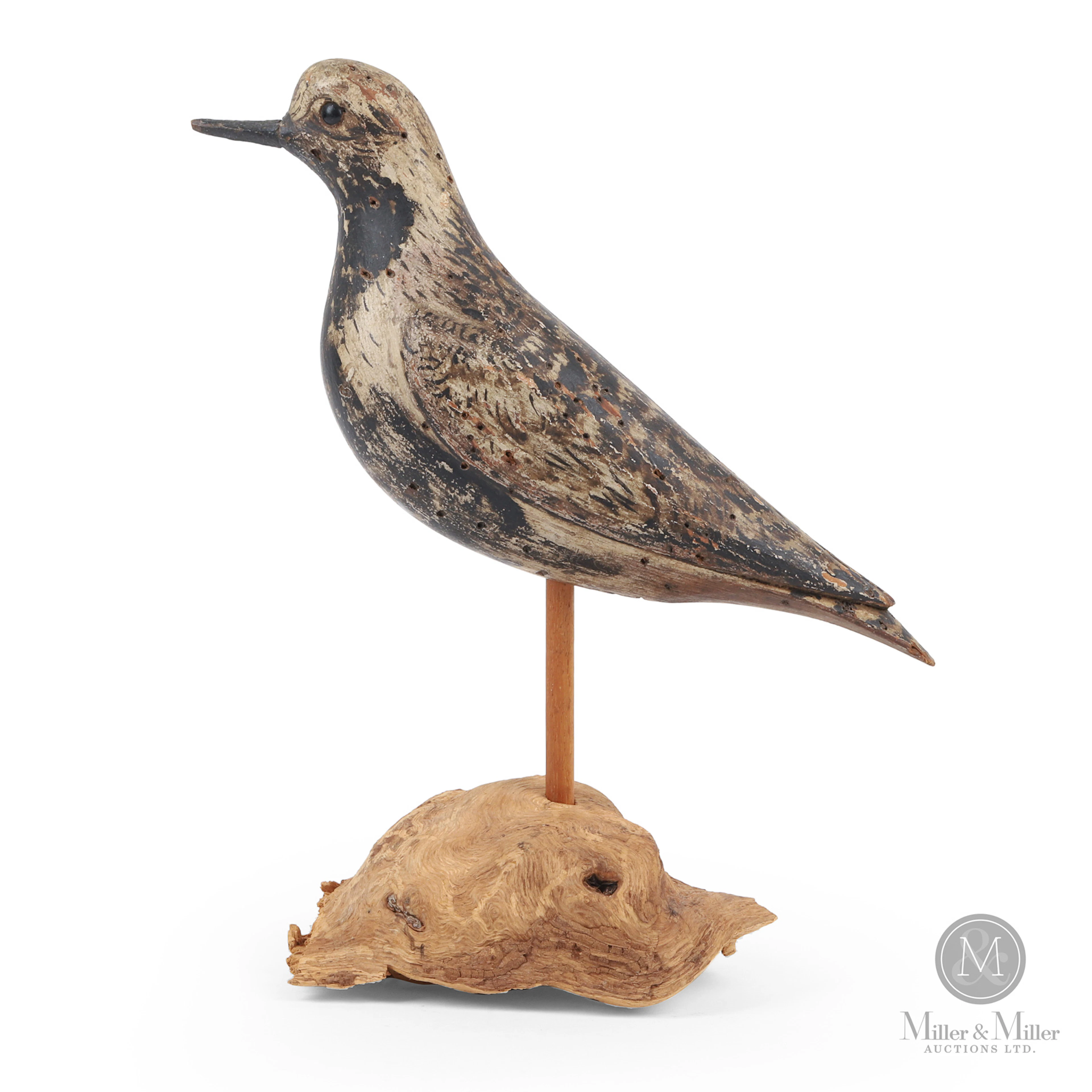 Black-bellied Plover or Ruddy Turnstone, Bowman or Bunn, Long Island NY