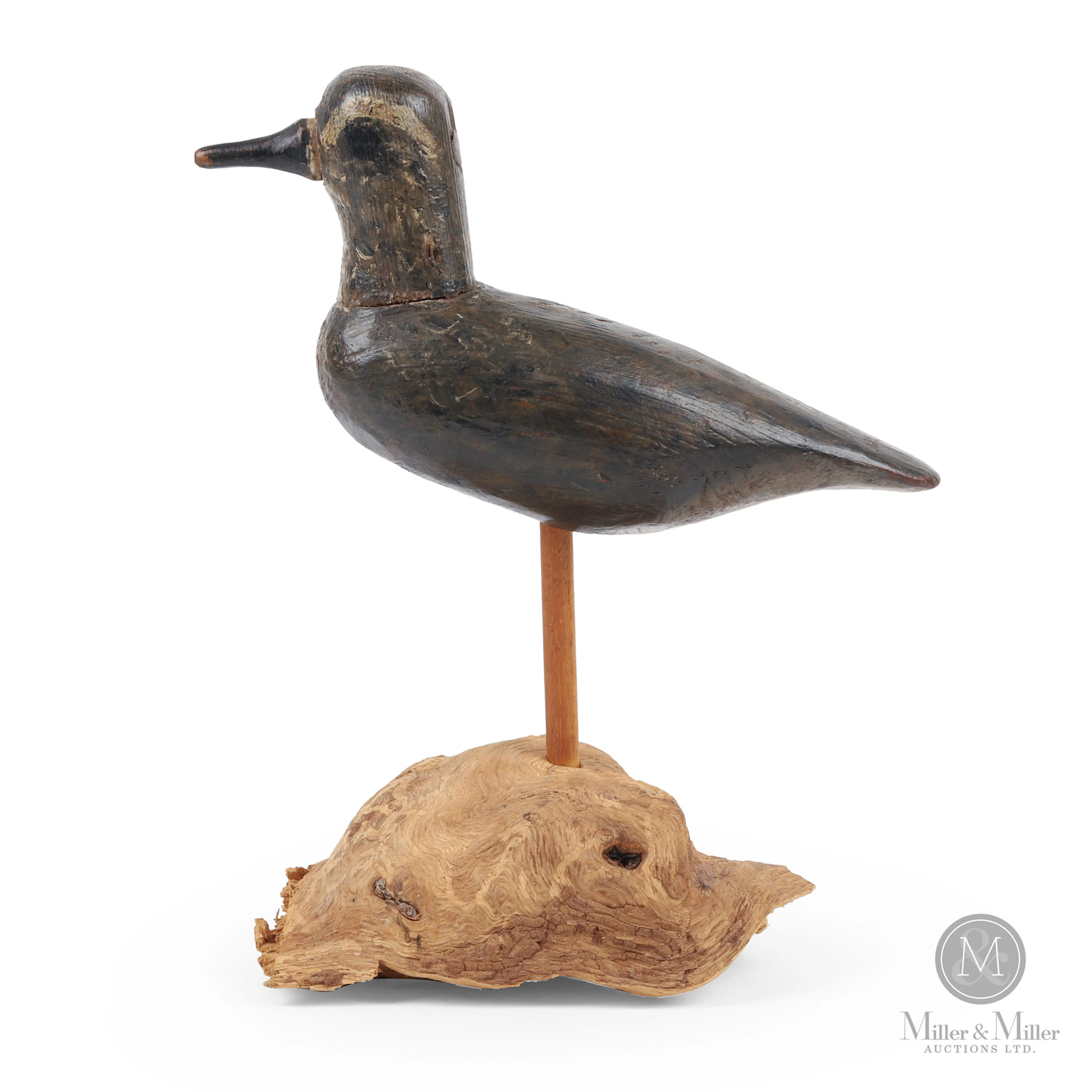 Golden Plover, PEI or Cape Cod