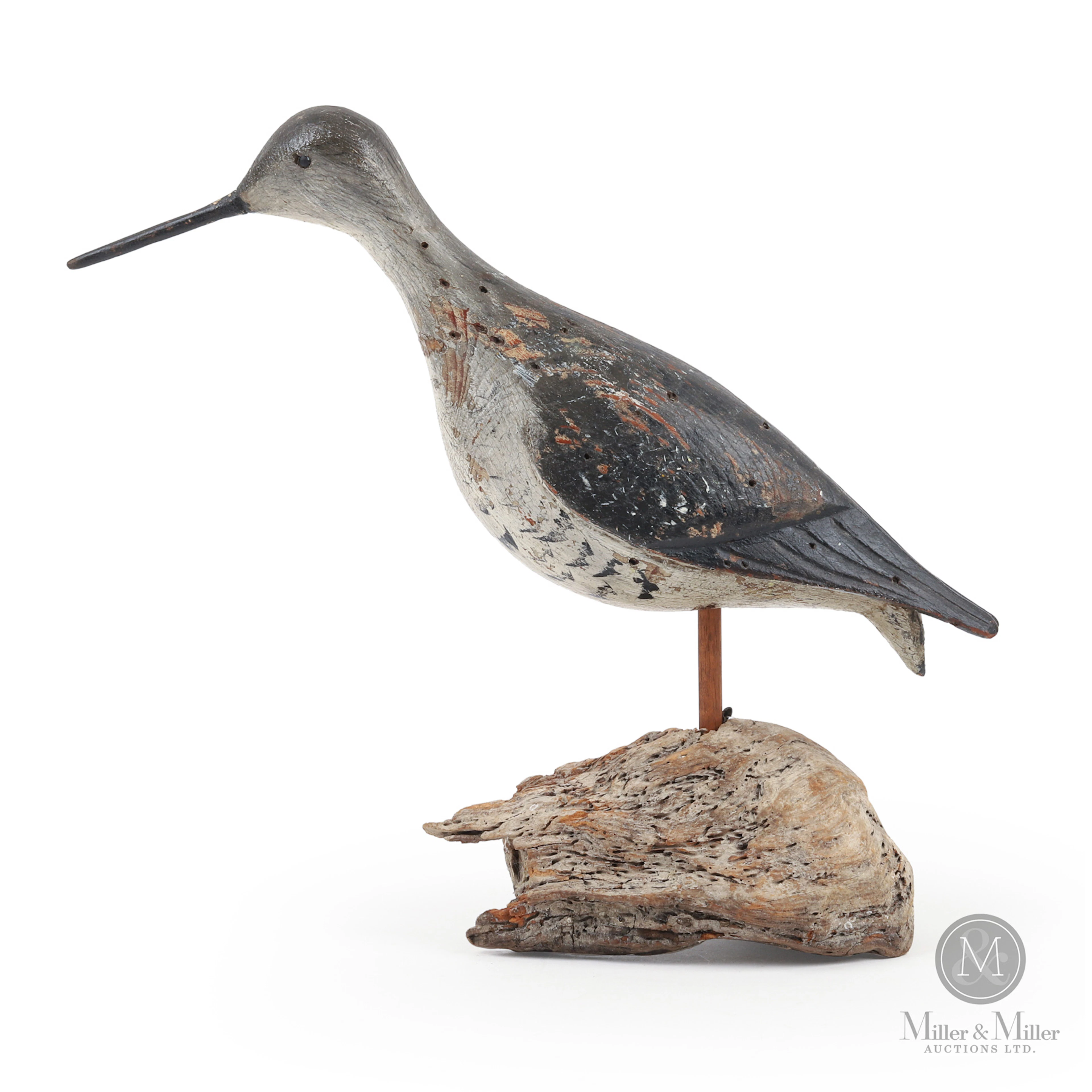 Yellowlegs, Burr, Hingham MA