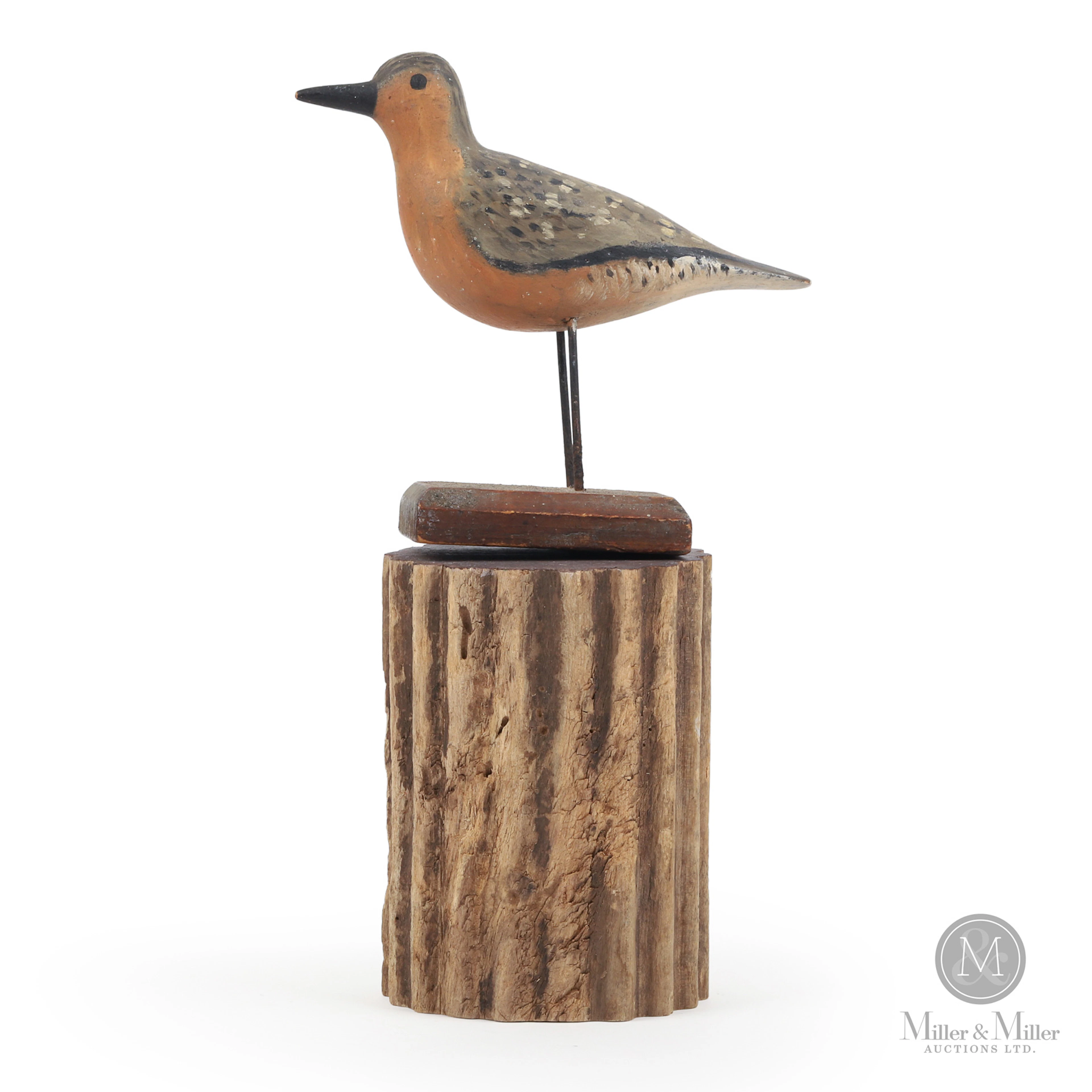 Toronto Shore Bird Decoy