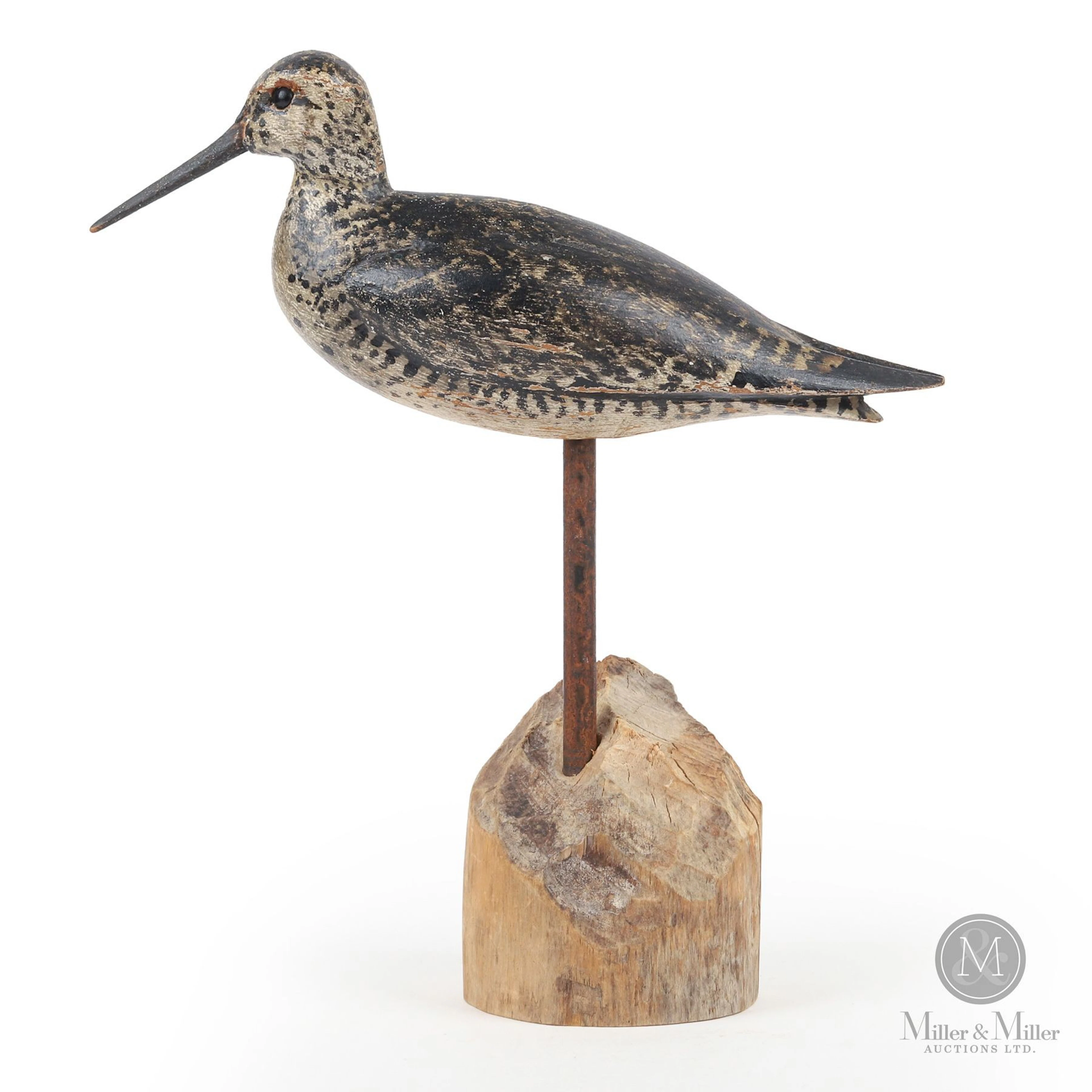 Dowitcher, Bowman or Bunn, Long Island NY