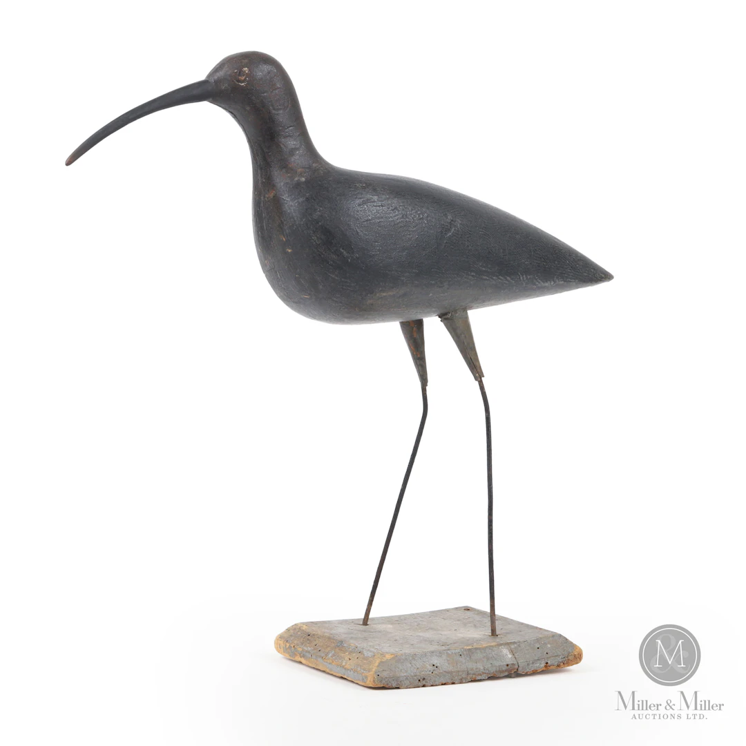 *PREVIEW LOT* Curlew, Southam Rig, Toronto