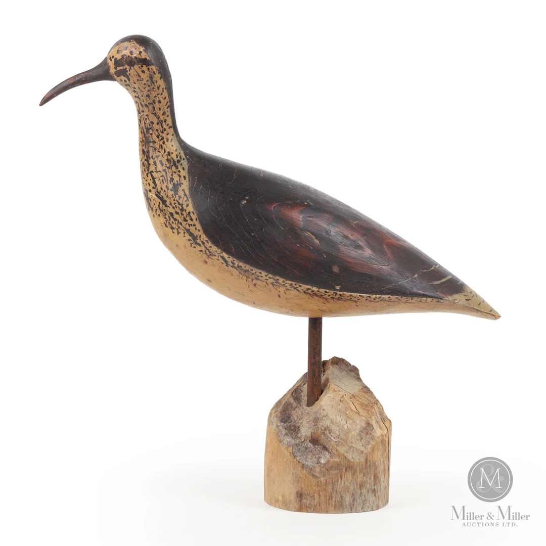 *PREVIEW LOT* Eskimo Curlew, Thomas, Lennox Island PEI