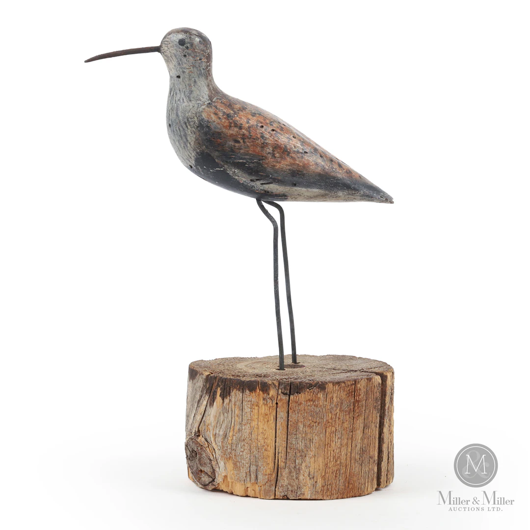 Dunlin, Toronto