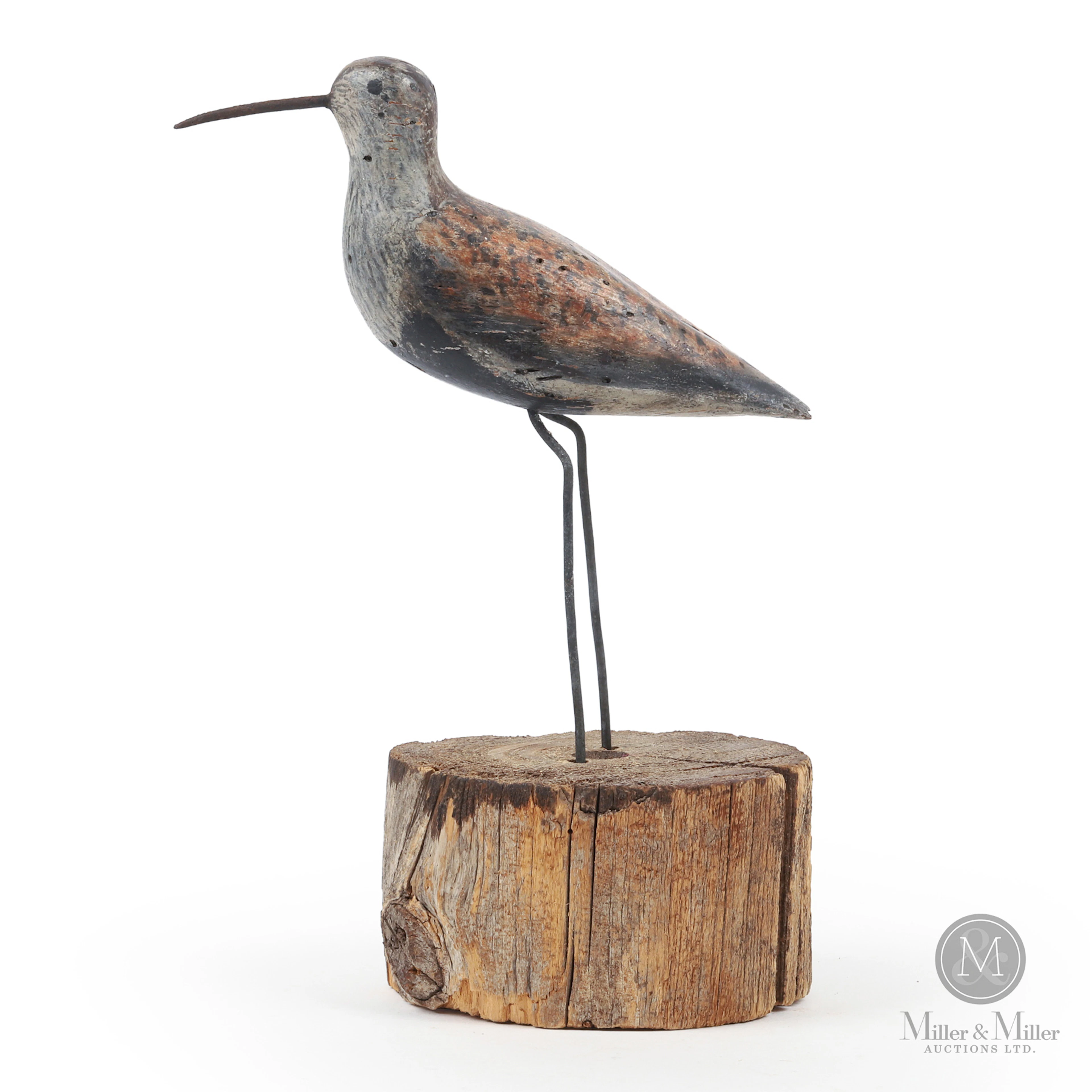 Dunlin, Toronto