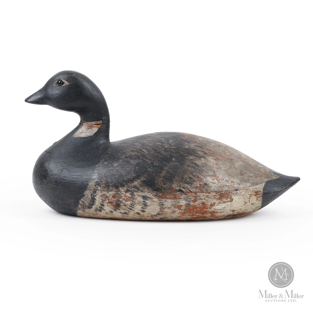 *PREVIEW LOT* Brant Goose, Bowman, Long Island NY