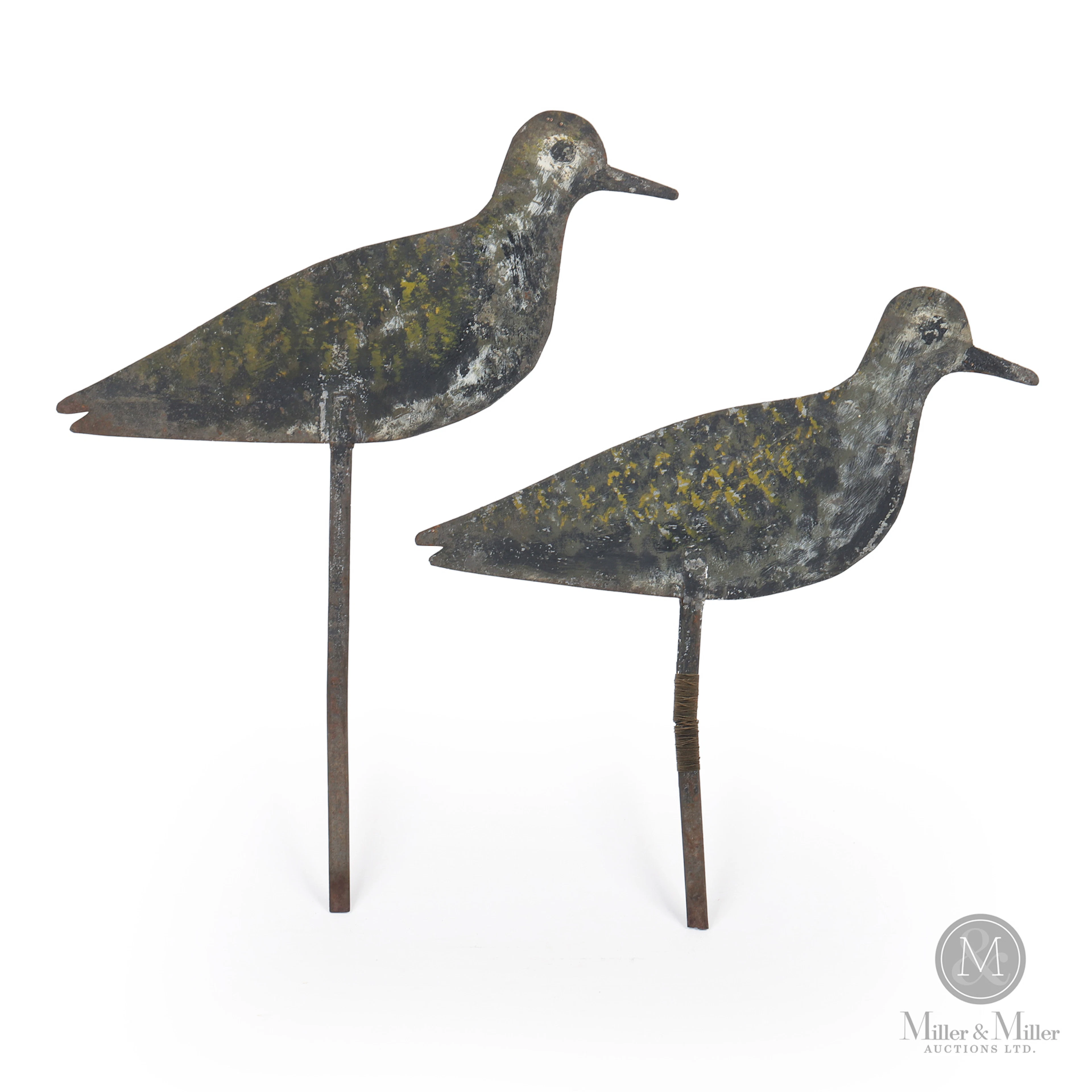 Golden Plover Silhouettes, Reeves, Toronto