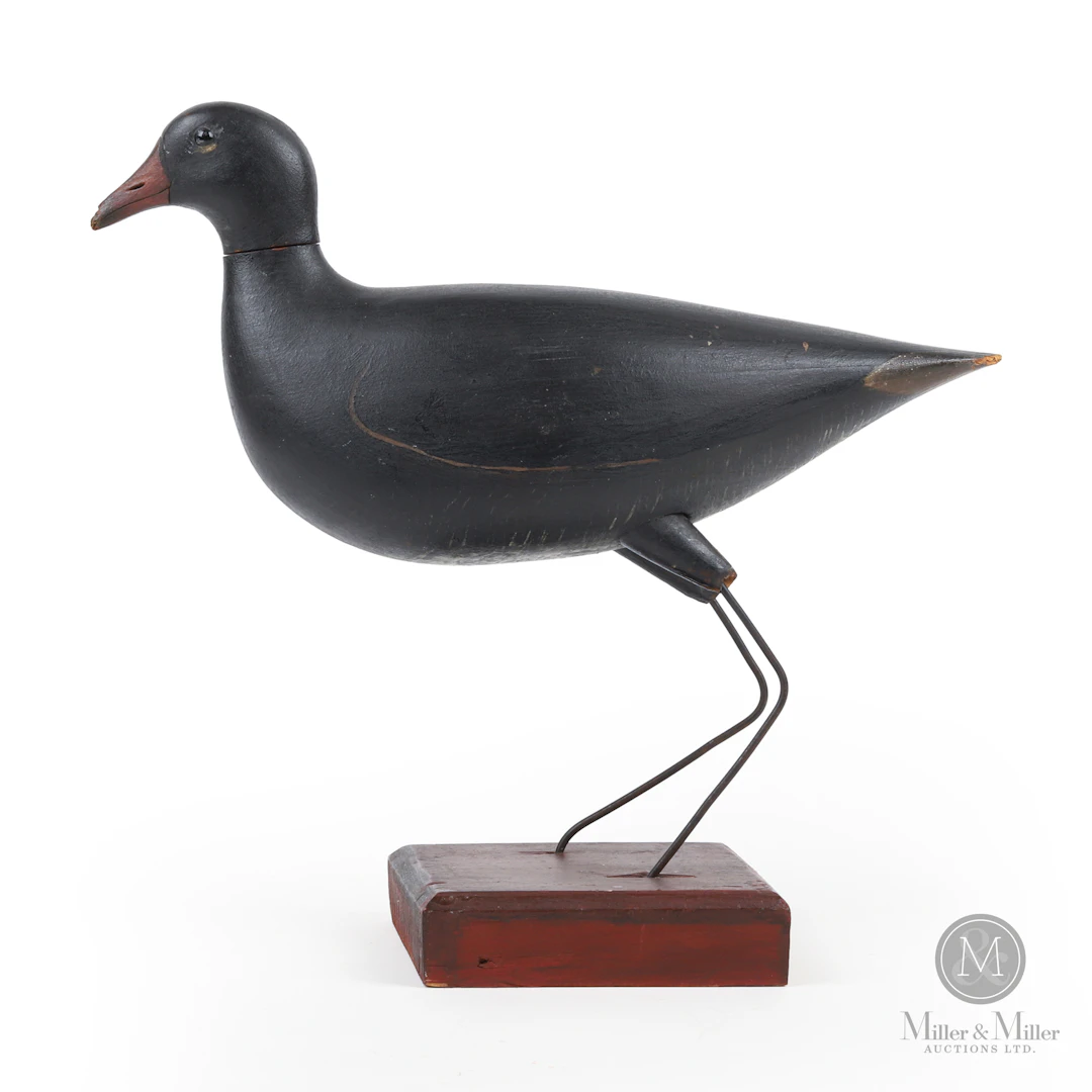 *PREVIEW LOT* Gallinule, Toronto