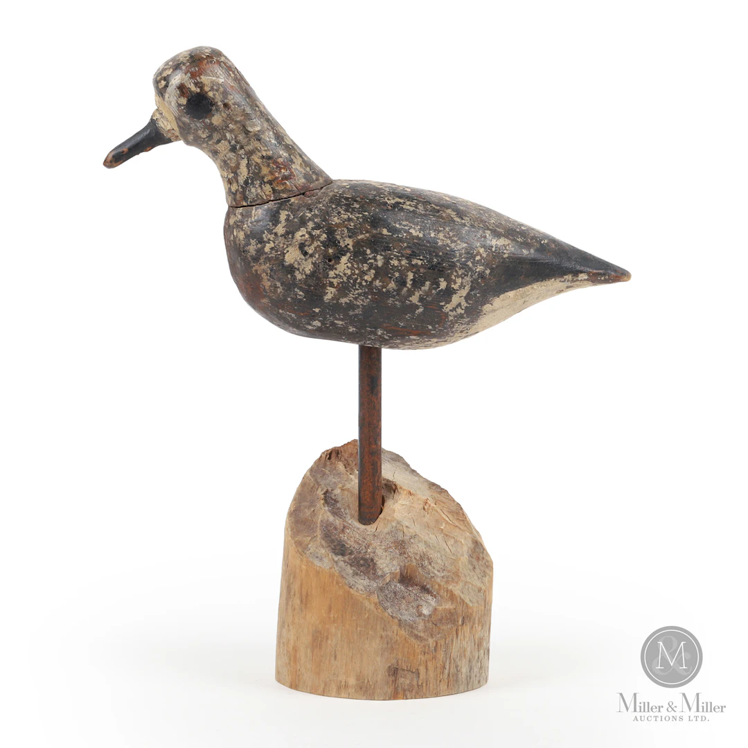 Golden Plover, PEI or Cape Cod