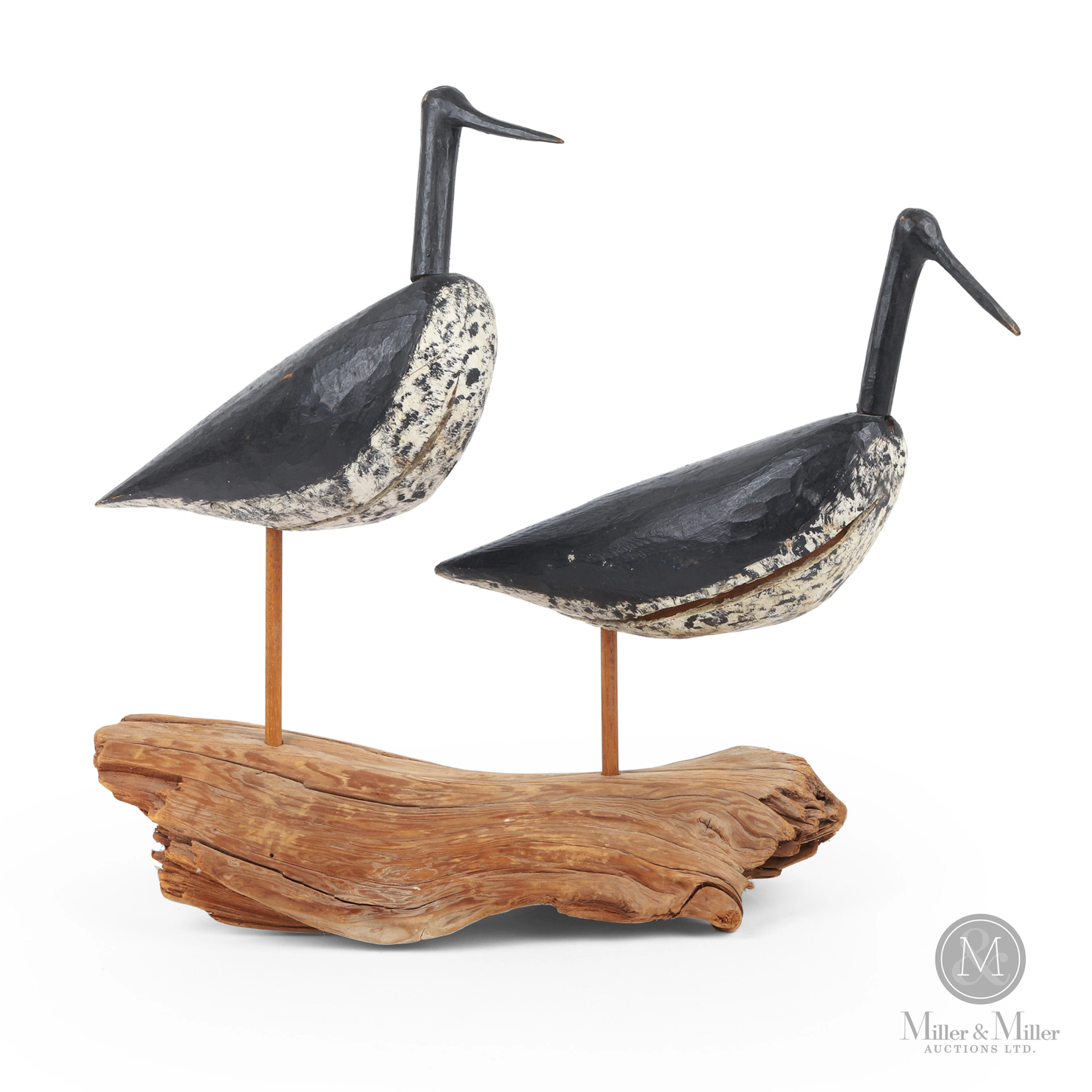 Yellowlegs Pair, Rowlings, Musquodobit NS