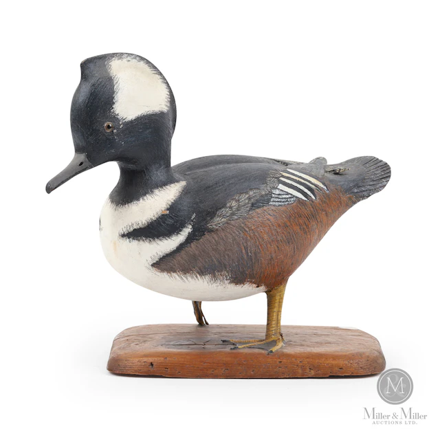 J. MacDonald Hooded Merganzer Drake