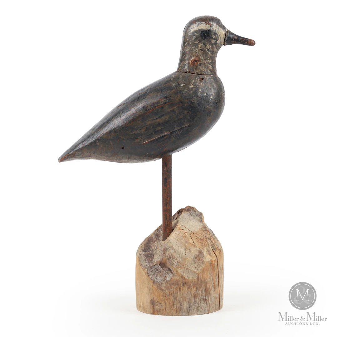Golden Plover, PEI or Cape Cod