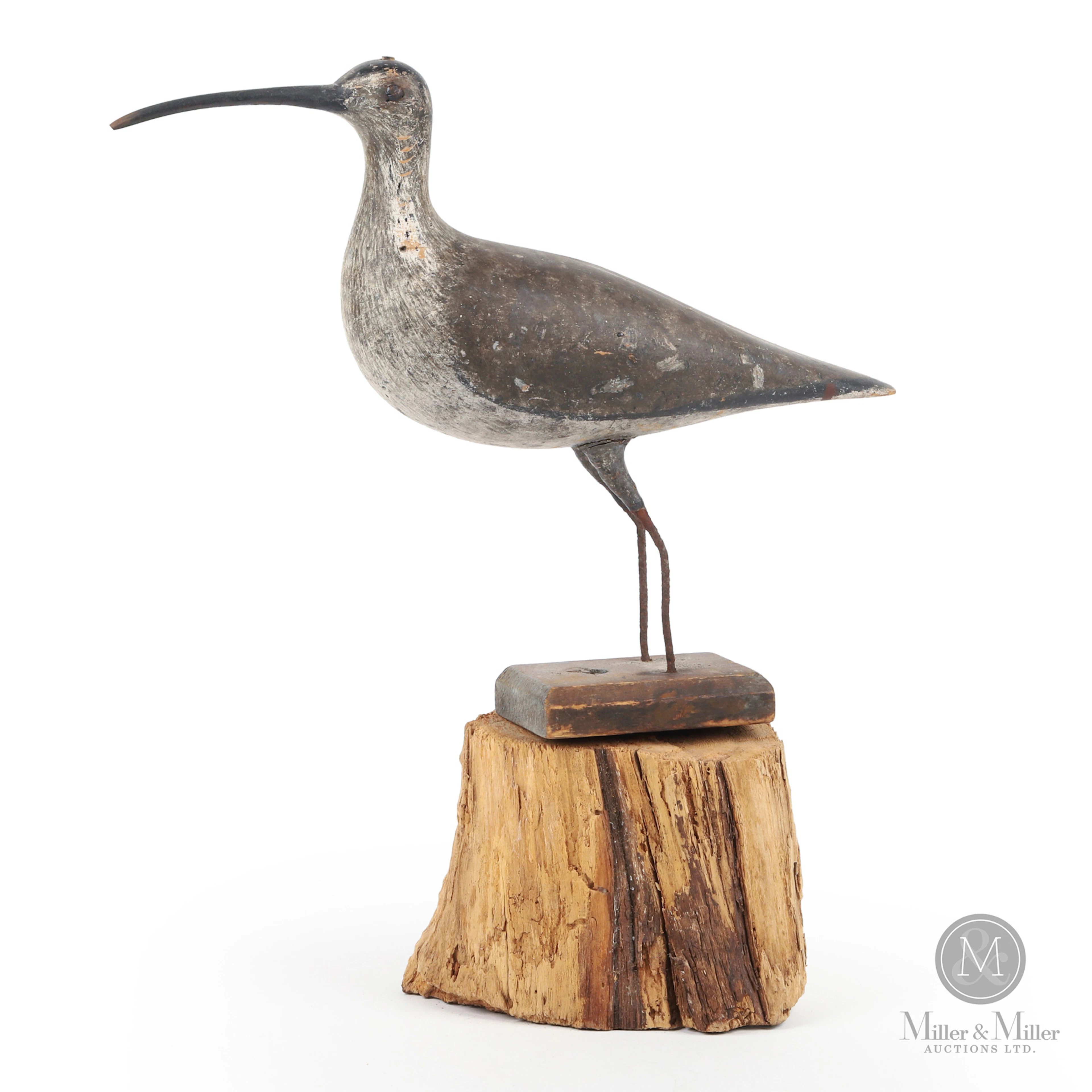 Curlew, Southam Rig, Toronto