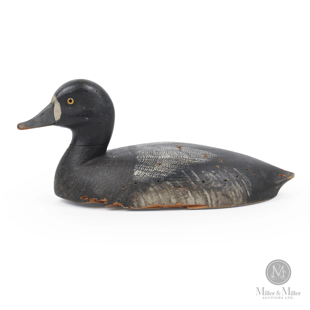John R. Wells (JRW) Bluebill Immature Drake Decoy