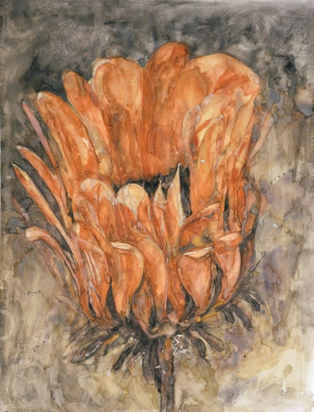 Heidi Fourie; Stone Bloom
