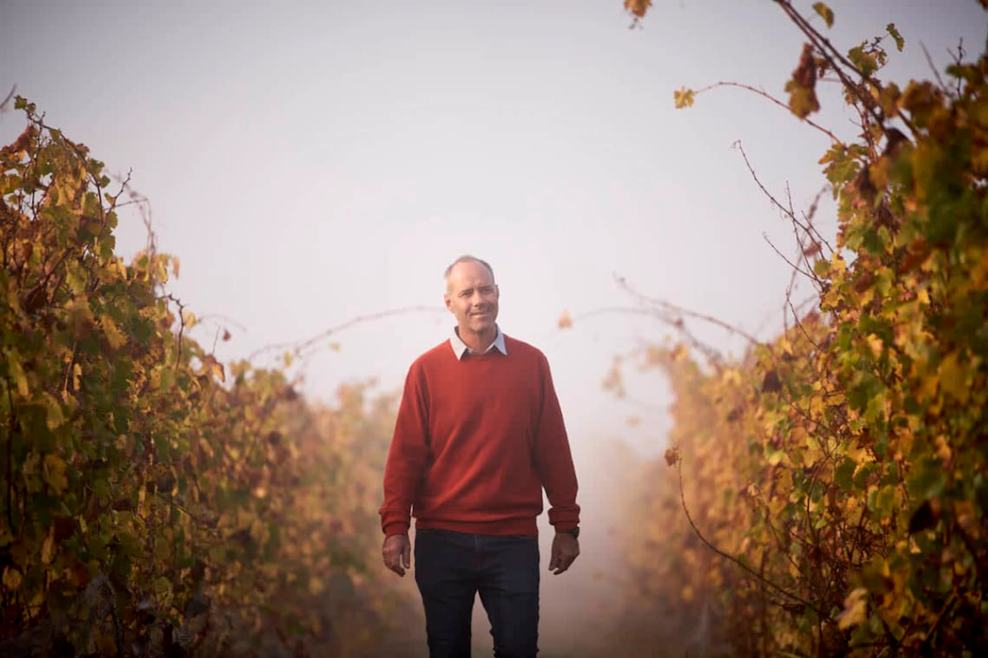 Survivor Wines; CWG Pinotage; 2023; 36 (6 x 6); 750ml