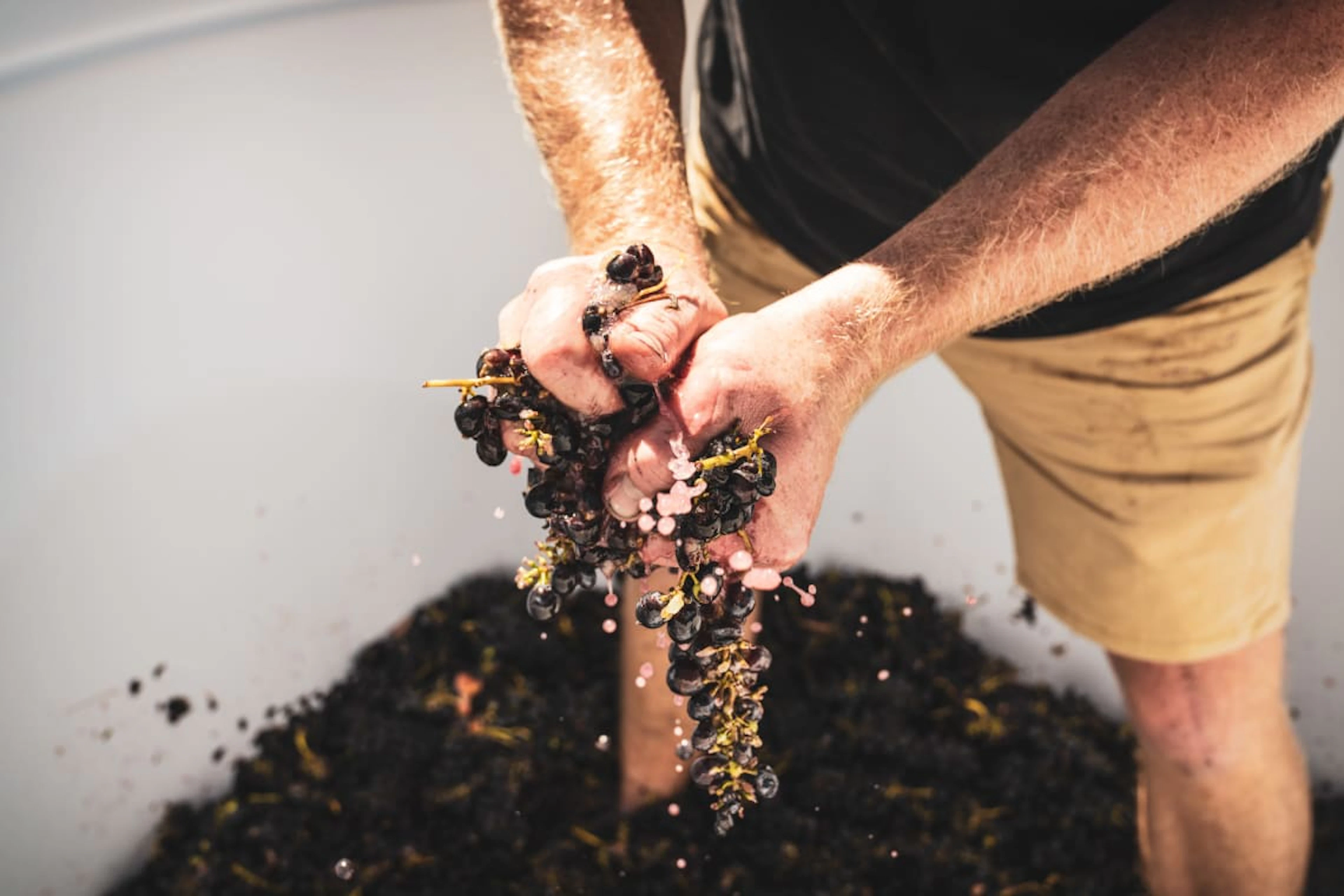 Van Loggerenberg Wines; CWG Auction Syrah; 2025; 36 (6 x 6); 750ml