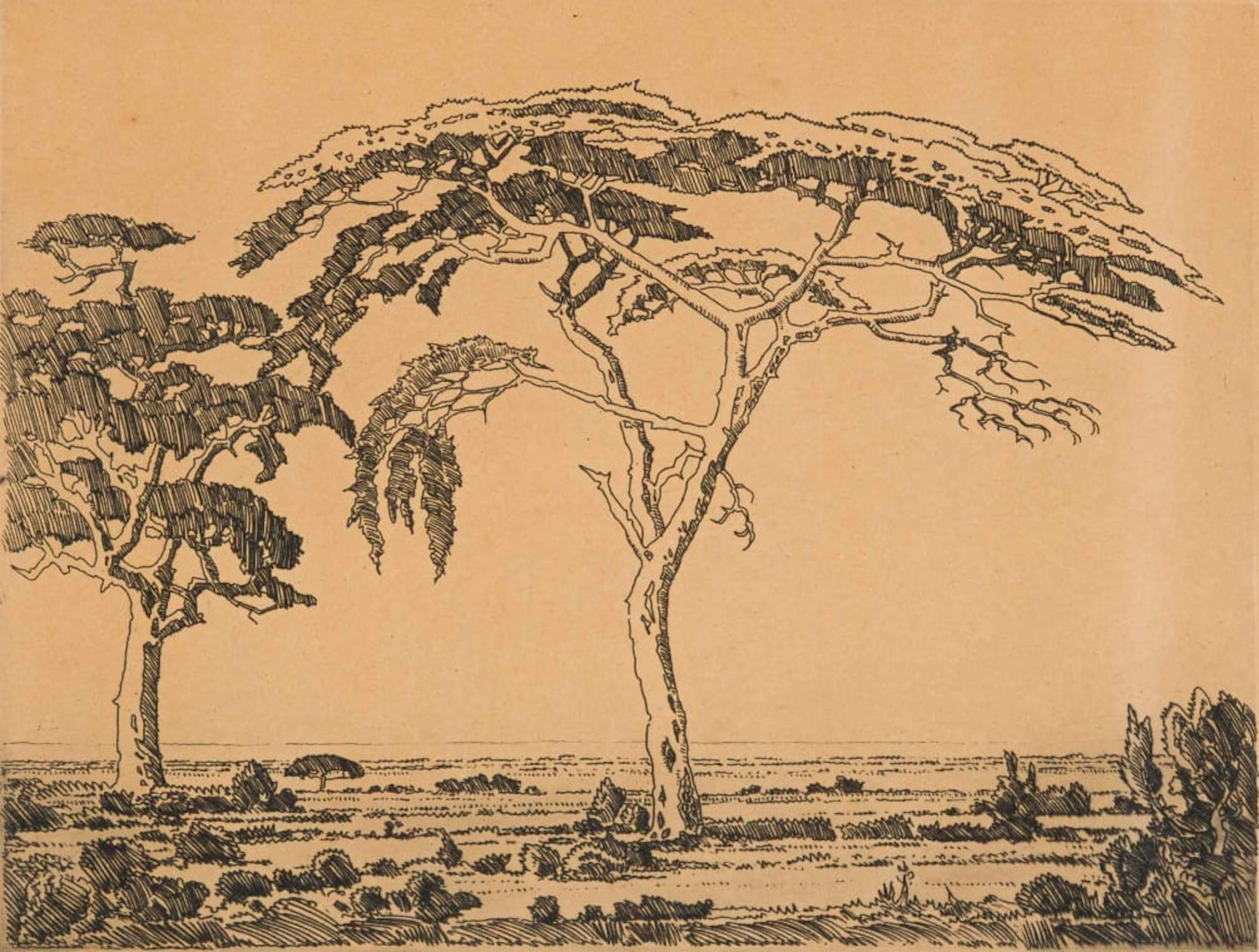Jacob Hendrik Pierneef; Camelthorn Springbok Flats