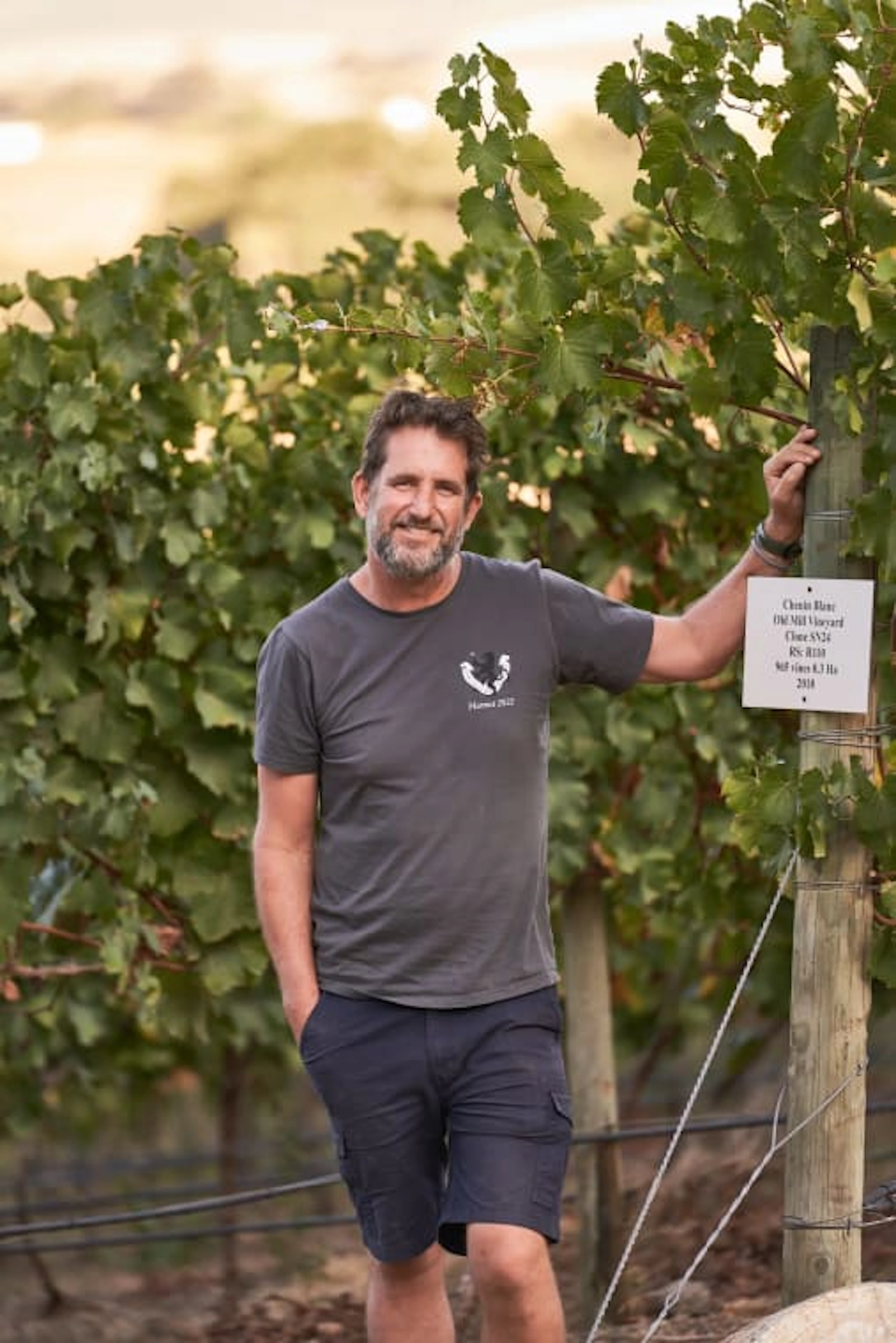 Beaumont Family Wines; GG’s Single Vineyard Chenin Blanc; 2025; 12