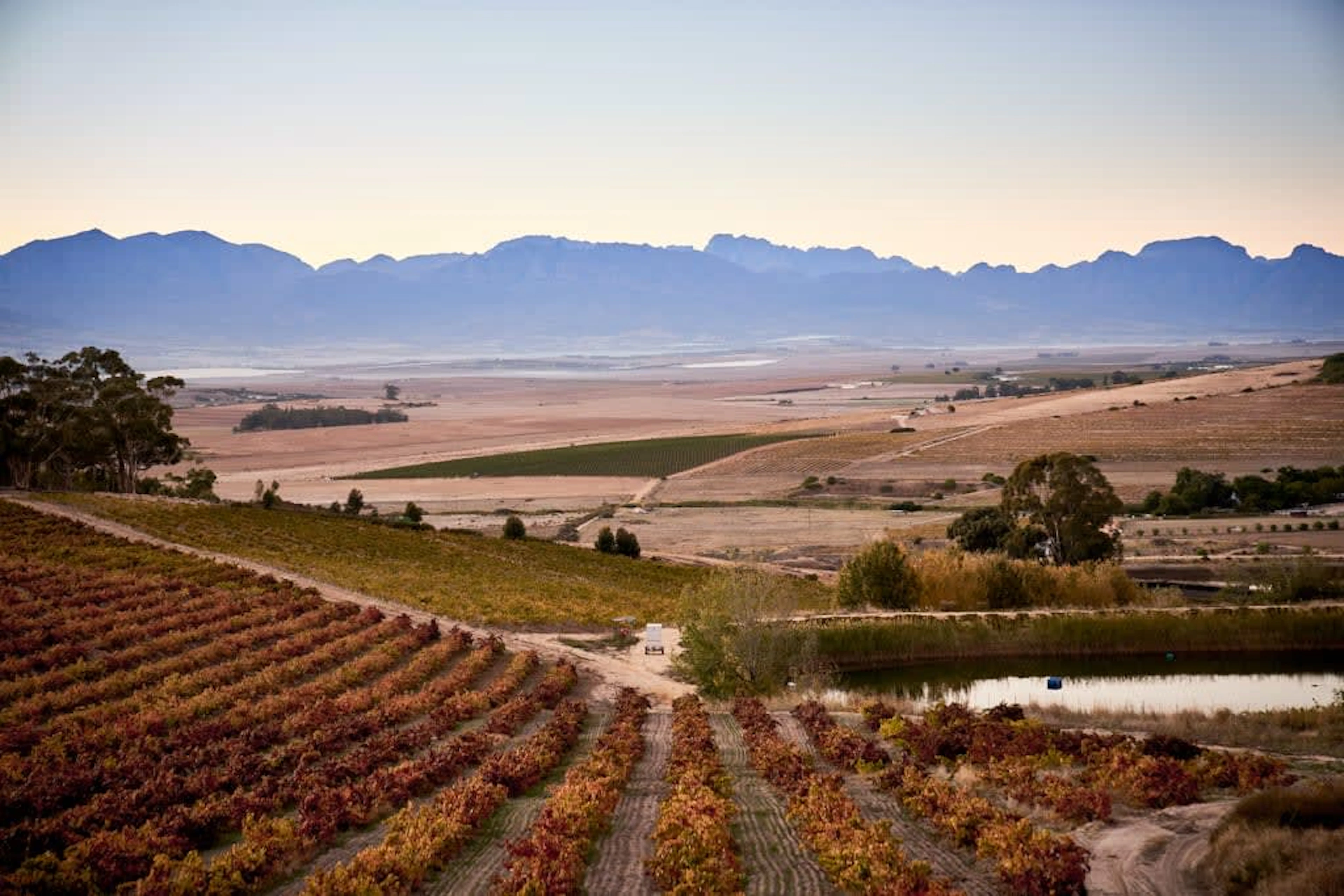 AA Badenhorst Family Wines; Akkerbos Grenache Blanc; 2025; 36 (6 x 6); 750ml