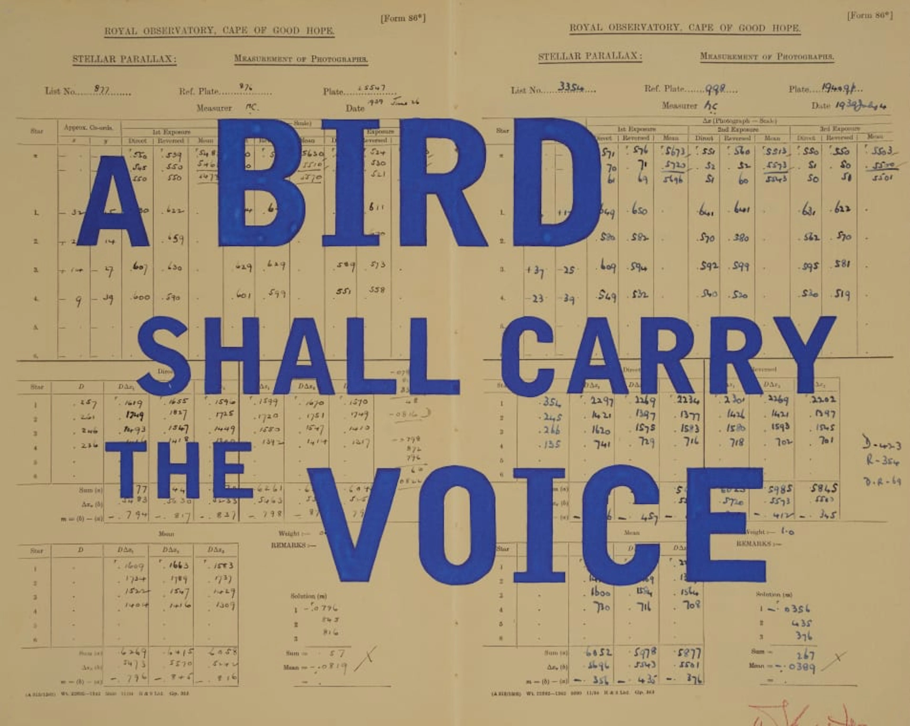 William Kentridge; A Bird Shall Carry the Voice
