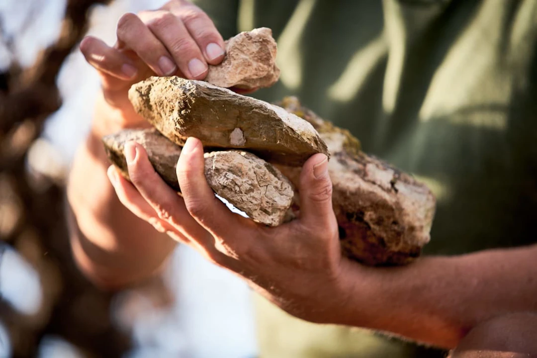 Silverthorn Wines; Crazy Diamond Brut Nature Cap Classique; 2021;