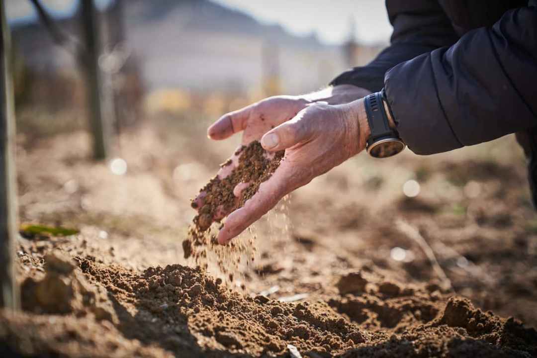 Raats Family Wines; Fountain Terroir Specific Chenin Blanc; 2025;