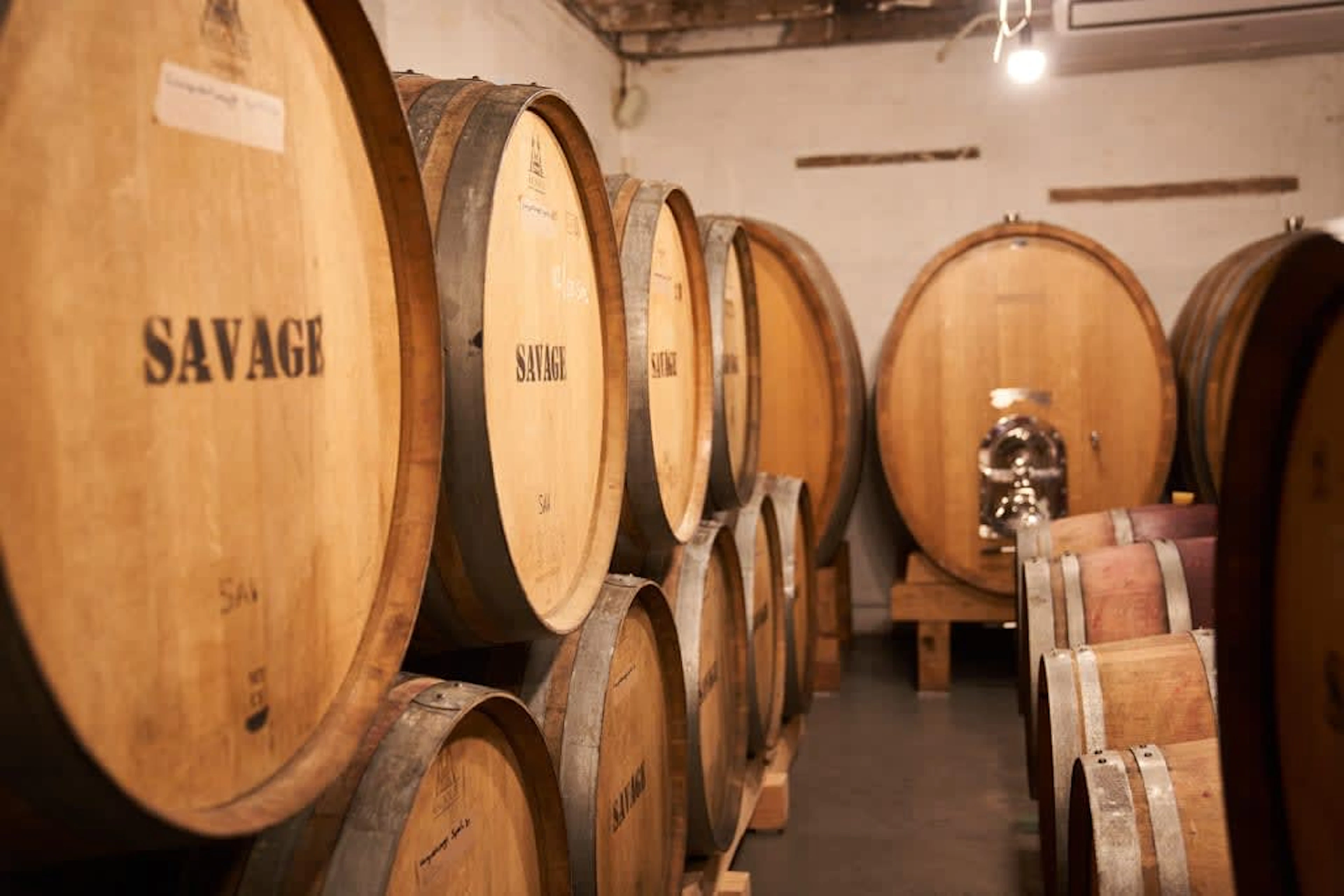 Savage Wines; Auction Syrah; 2024; 36 (6 x 6); 750ml