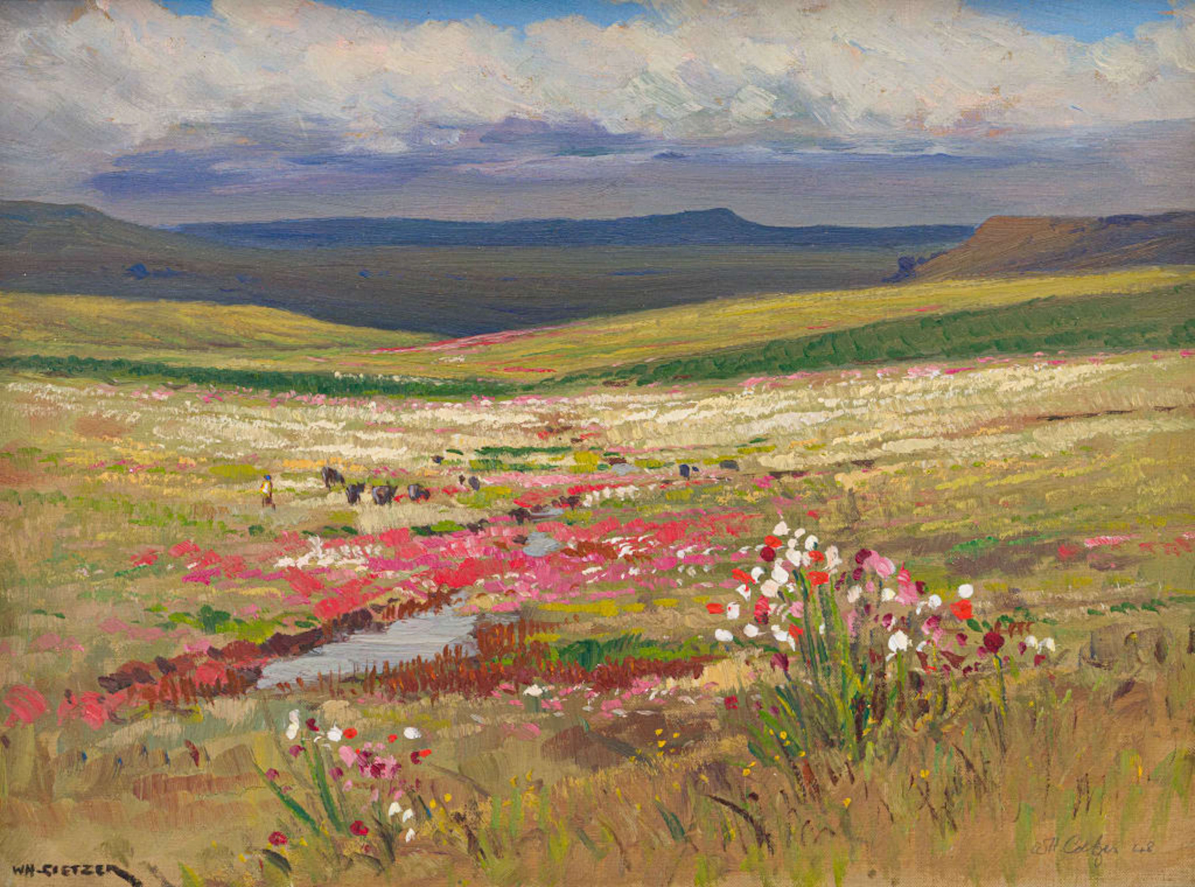 Willem Hermanus Coetzer; Kosmos naby Vrede (Cosmos near Vrede)