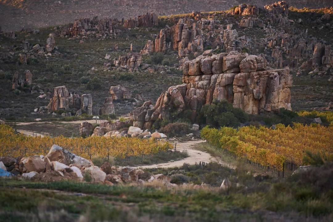 Cederberg; Black Slate Shiraz; 2024; 12 (2 x 6); 750ml
