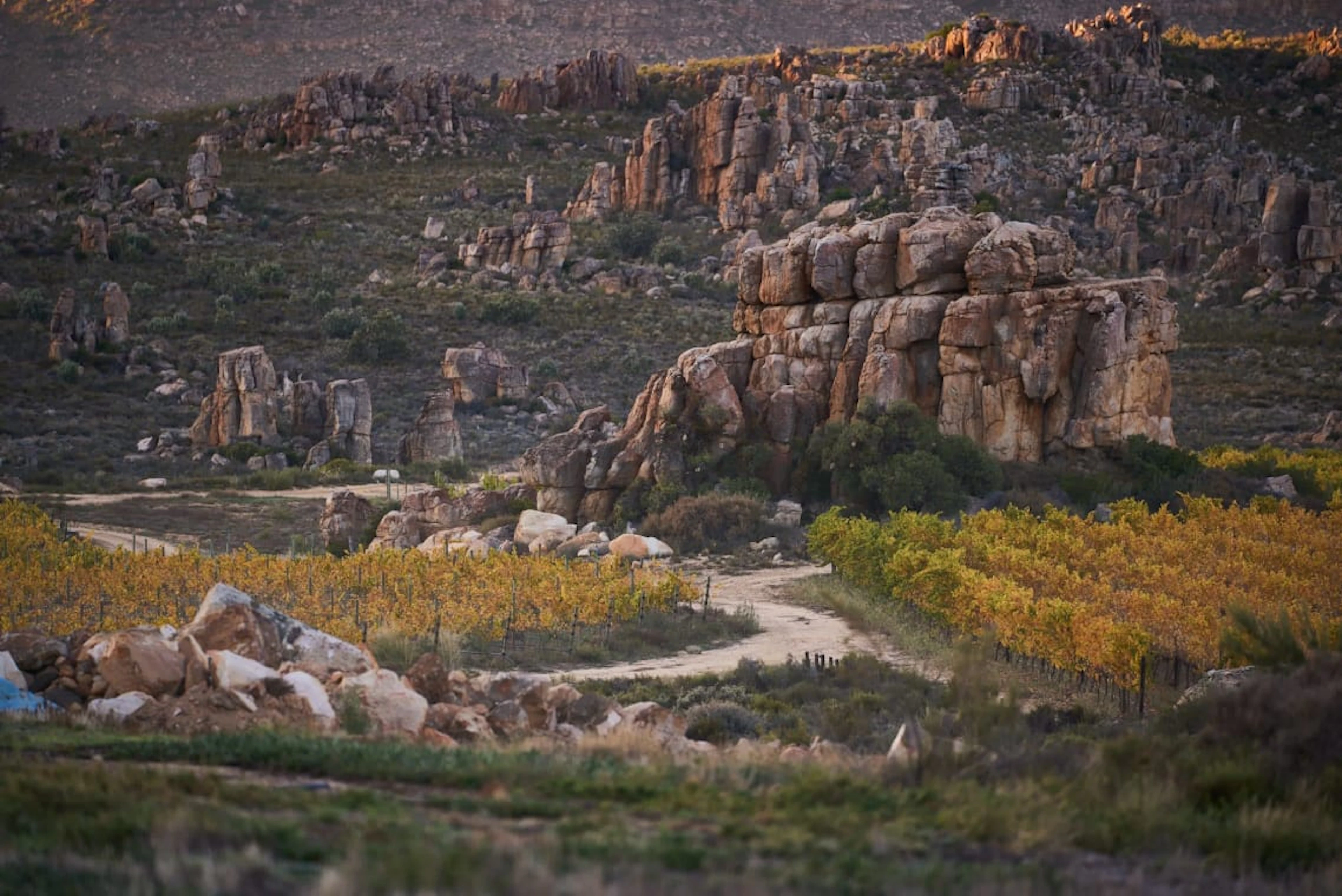 Cederberg; Black Slate Shiraz; 2024; 12 (2 x 6); 750ml