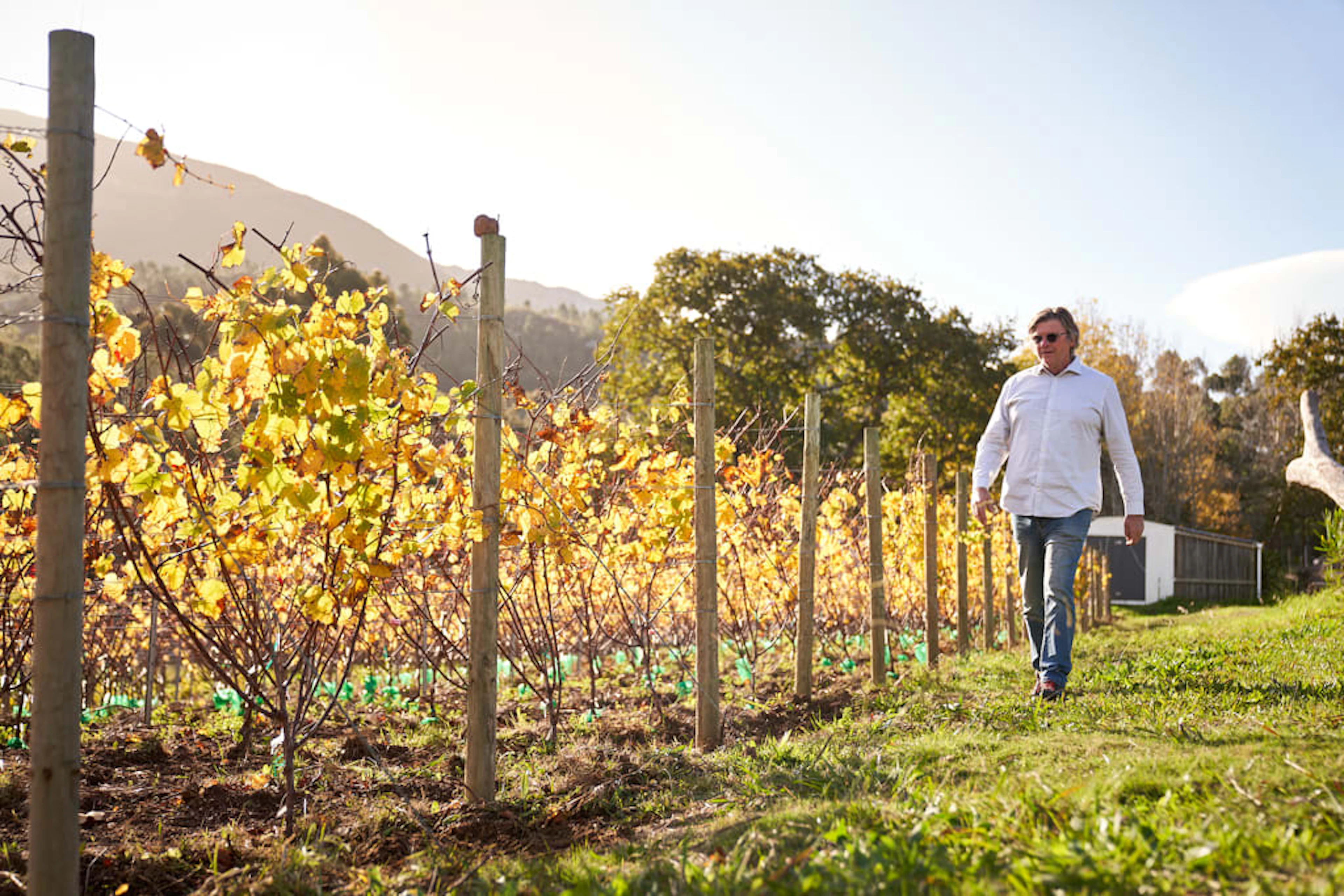 Bartho Eksteen Wine Estate; Vloekskoot Sauvignon Blanc - Op Hout;