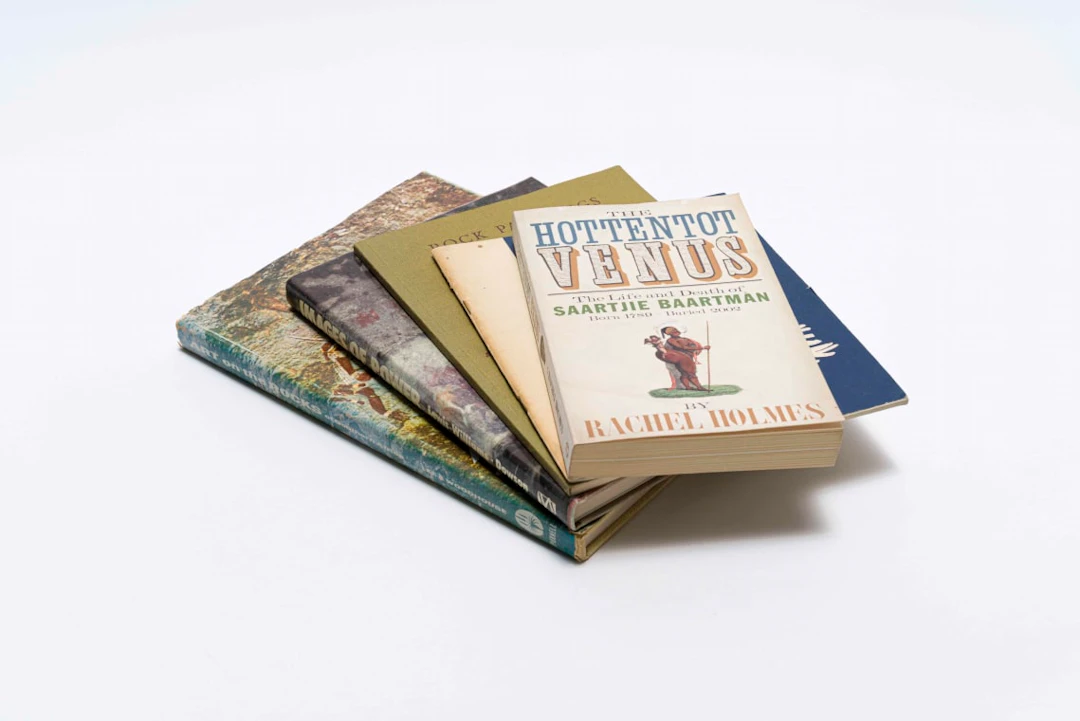 Various Authors; South African Rock Art, five