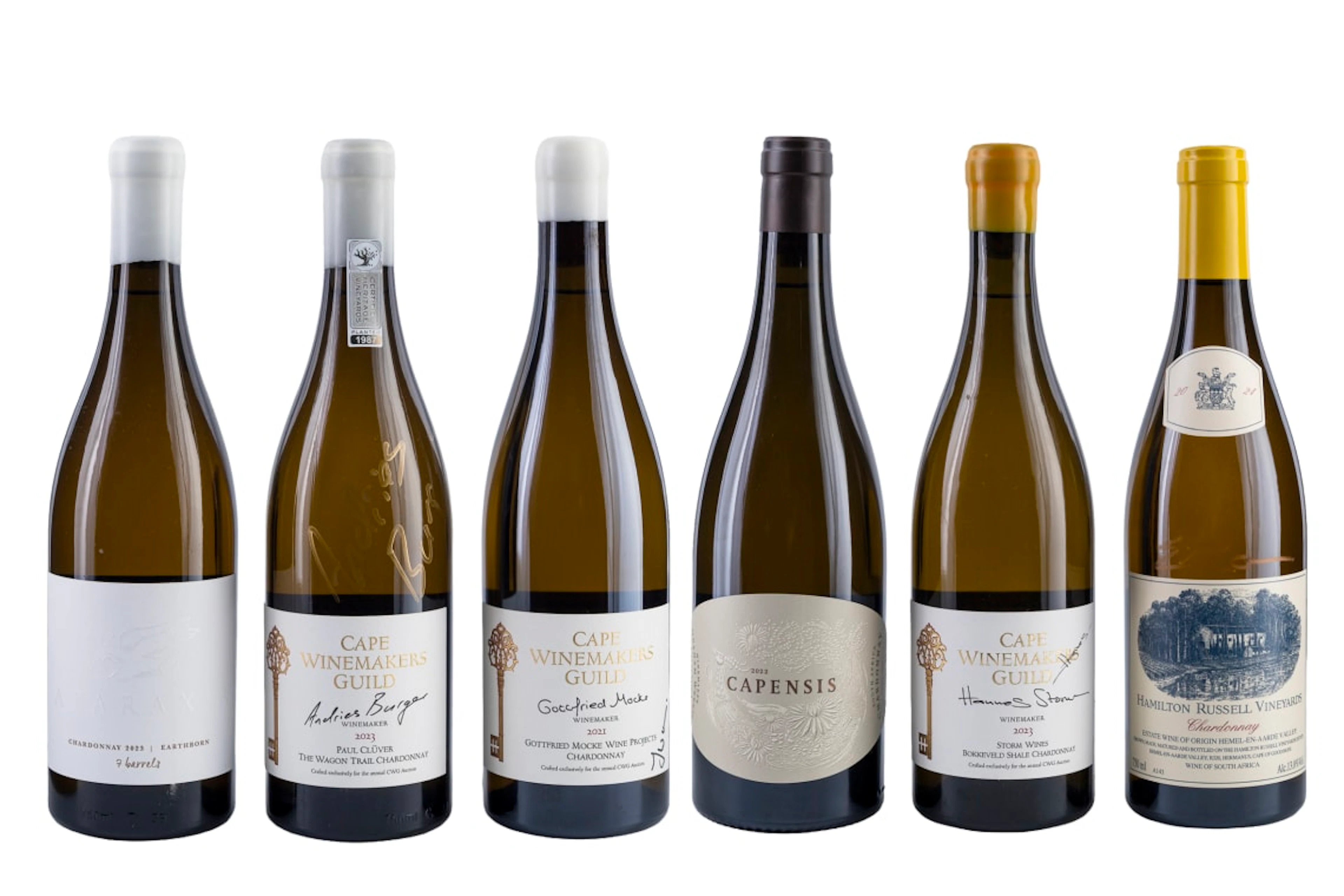 Cape Chardonnay Collective