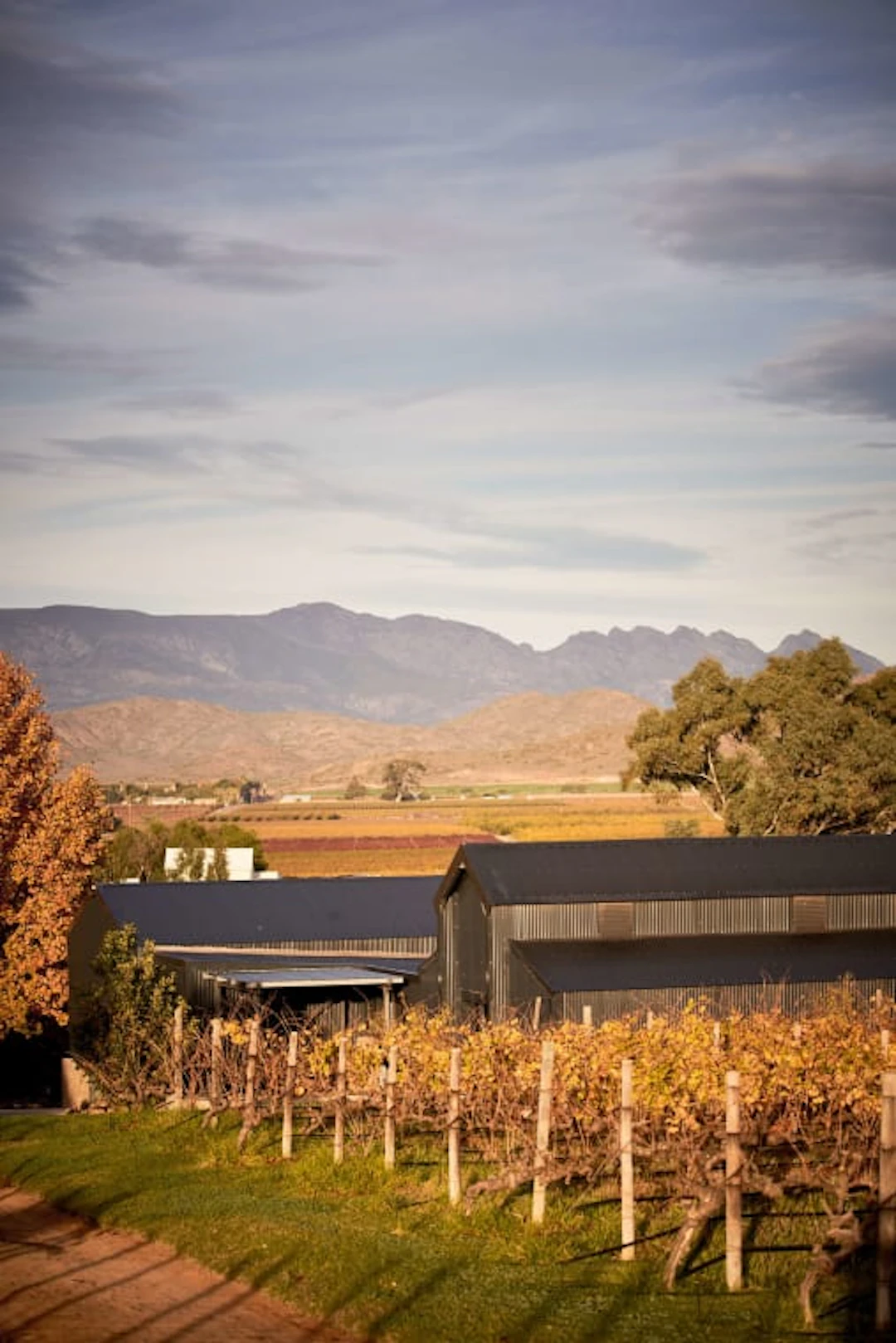 Silverthorn Wines; Crazy Diamond Brut Nature Cap Classique; 2021;