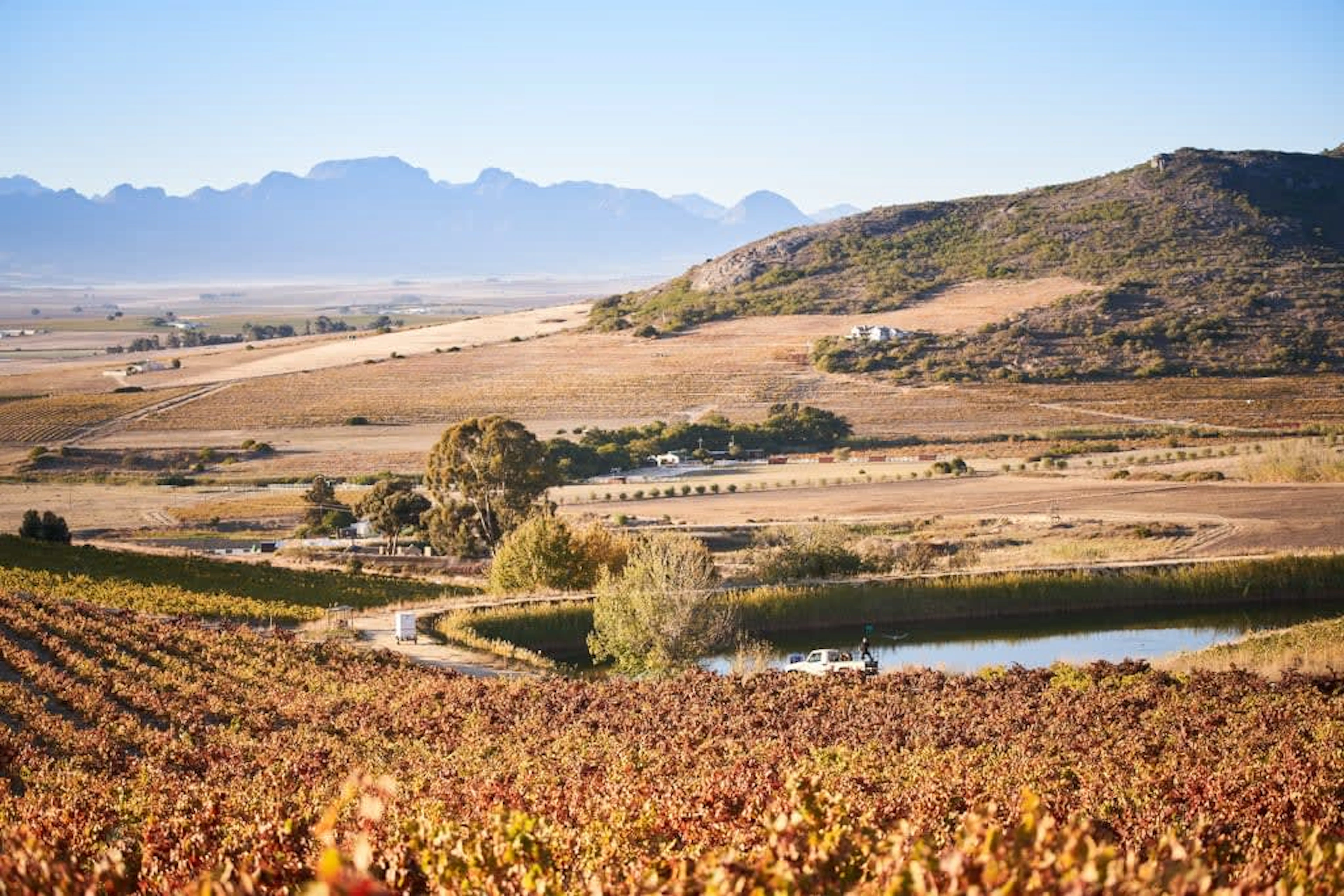 AA Badenhorst Family Wines; Akkerbos Grenache Blanc; 2025; 36 (6 x 6); 750ml