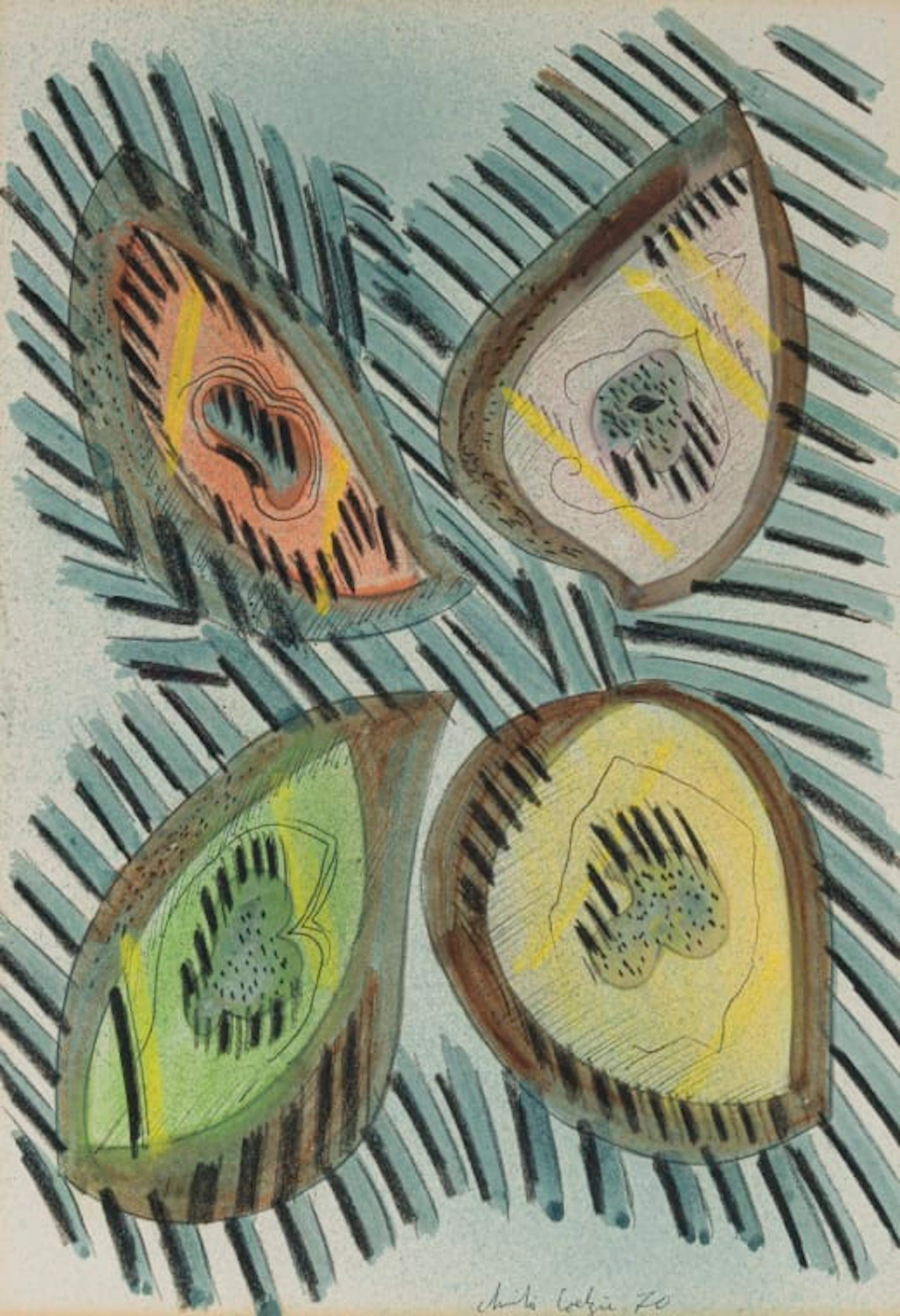 Christo Coetzee; Avocados