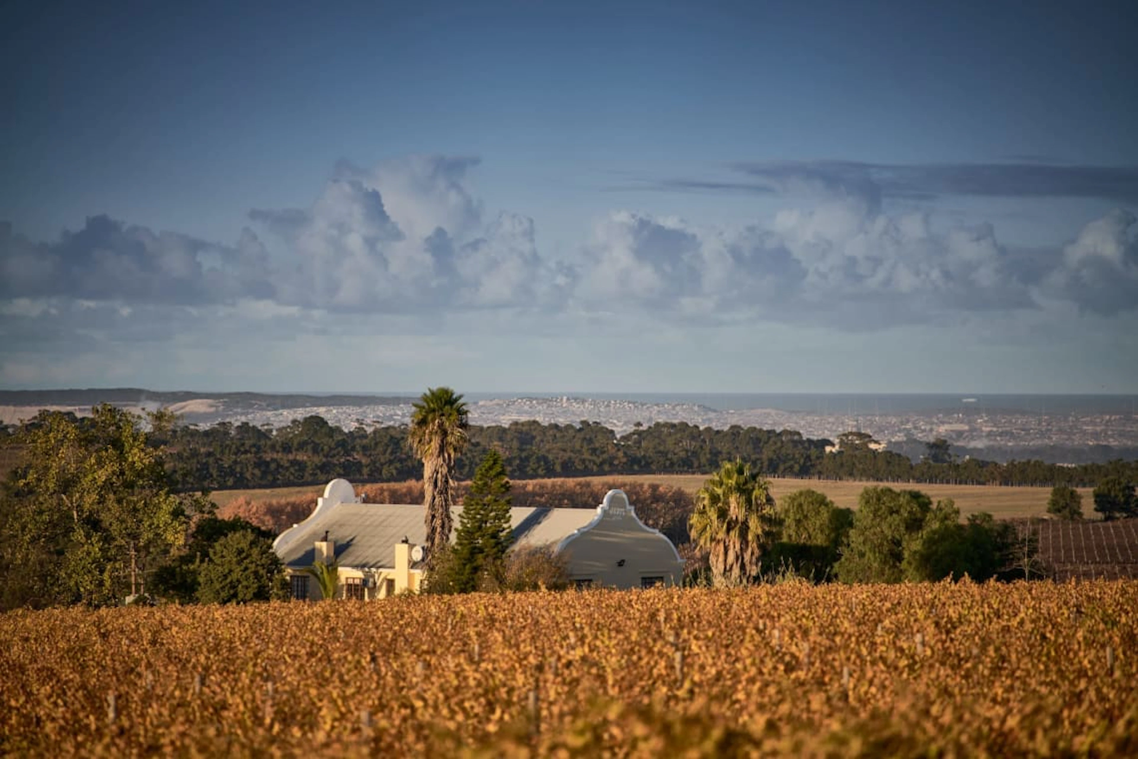 Raats Family Wines; Fountain Terroir Specific Chenin Blanc; 2025;