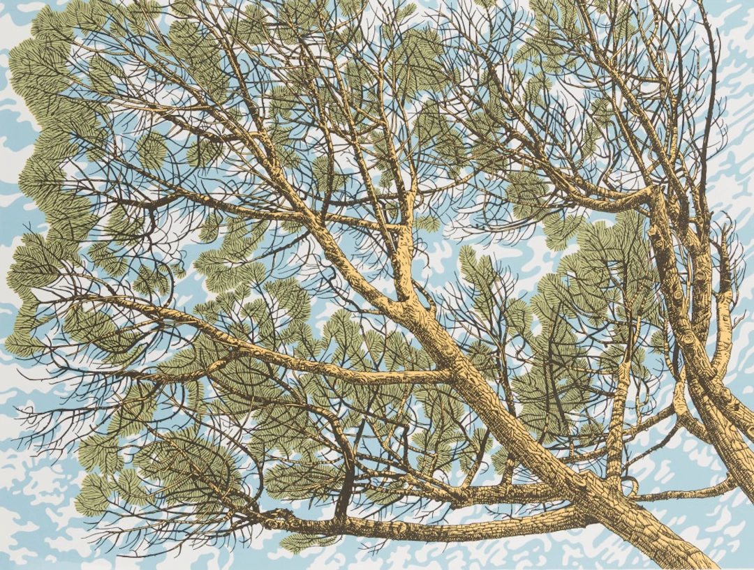 Anton Kannemeyer; Under the Pine Trees