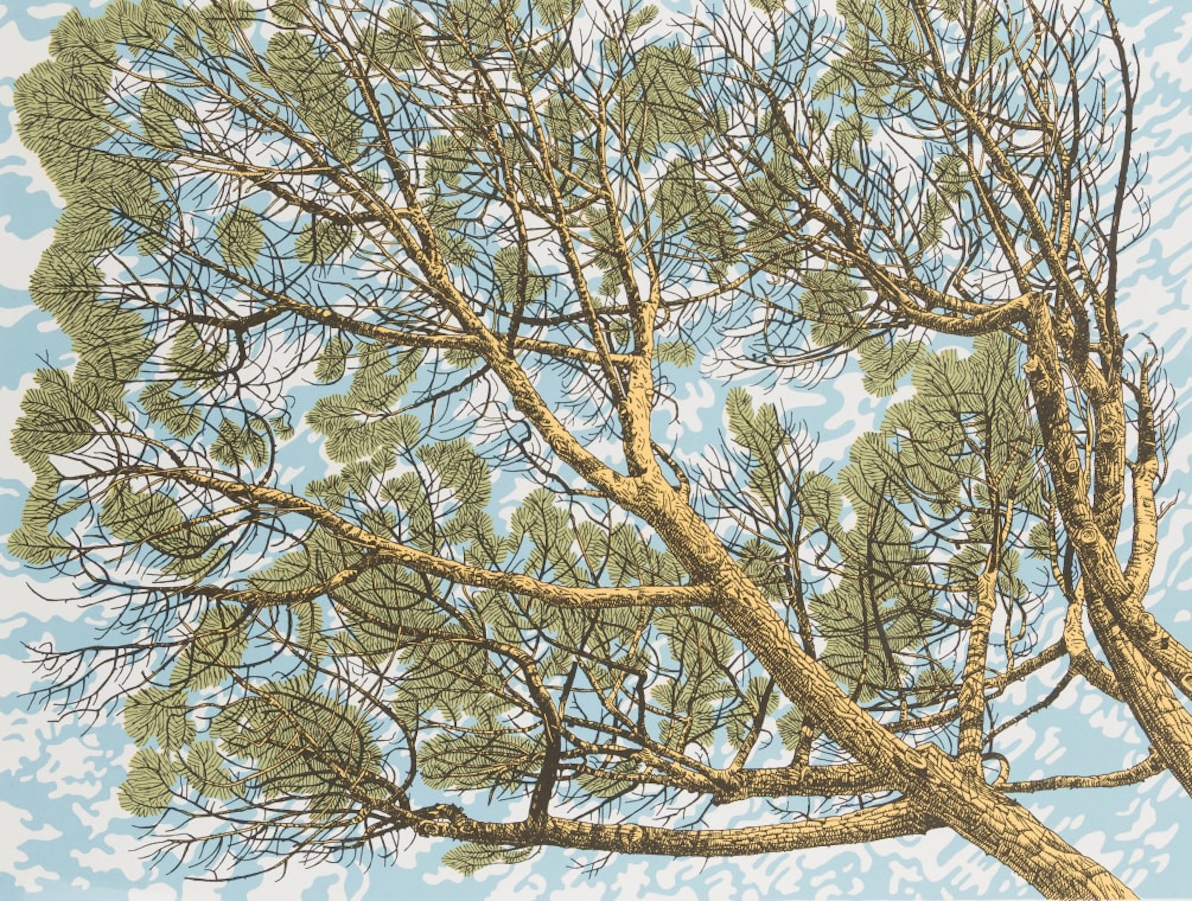 Anton Kannemeyer; Under the Pine Trees