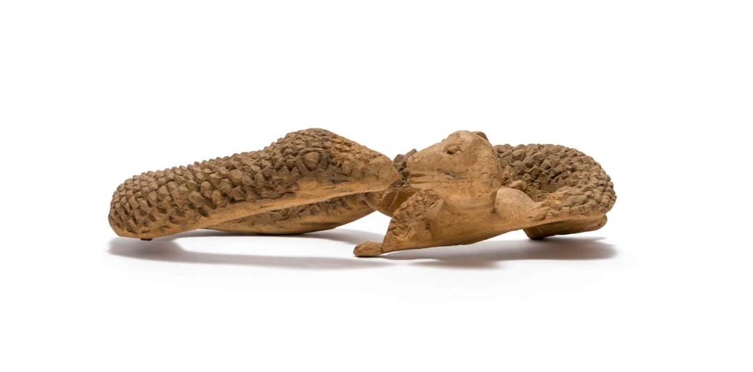 Noria Mabasa; Snake with Dog