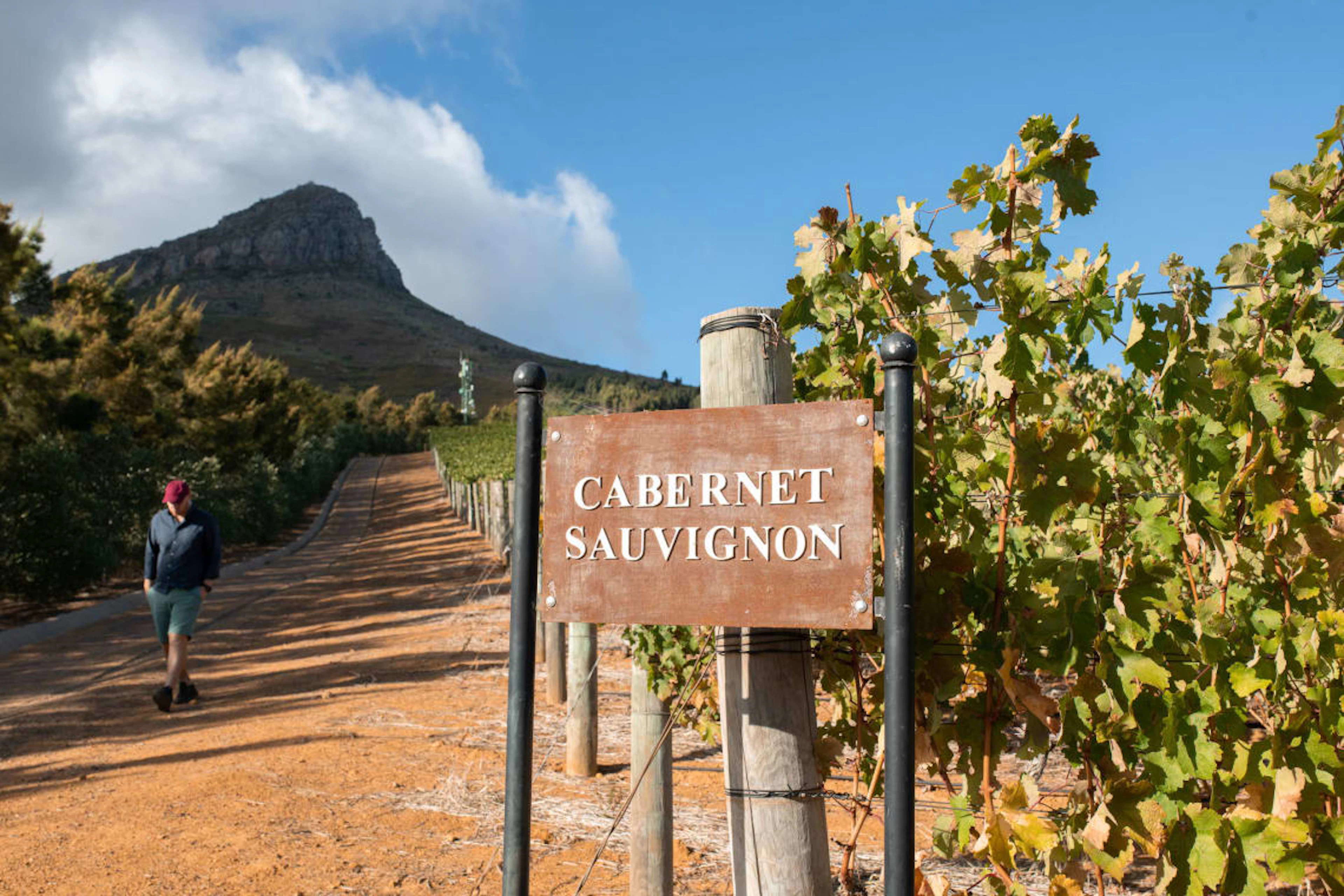 Delaire Graff Estate; Banghoek Cabernet Franc - Cabernet Sauvignon;