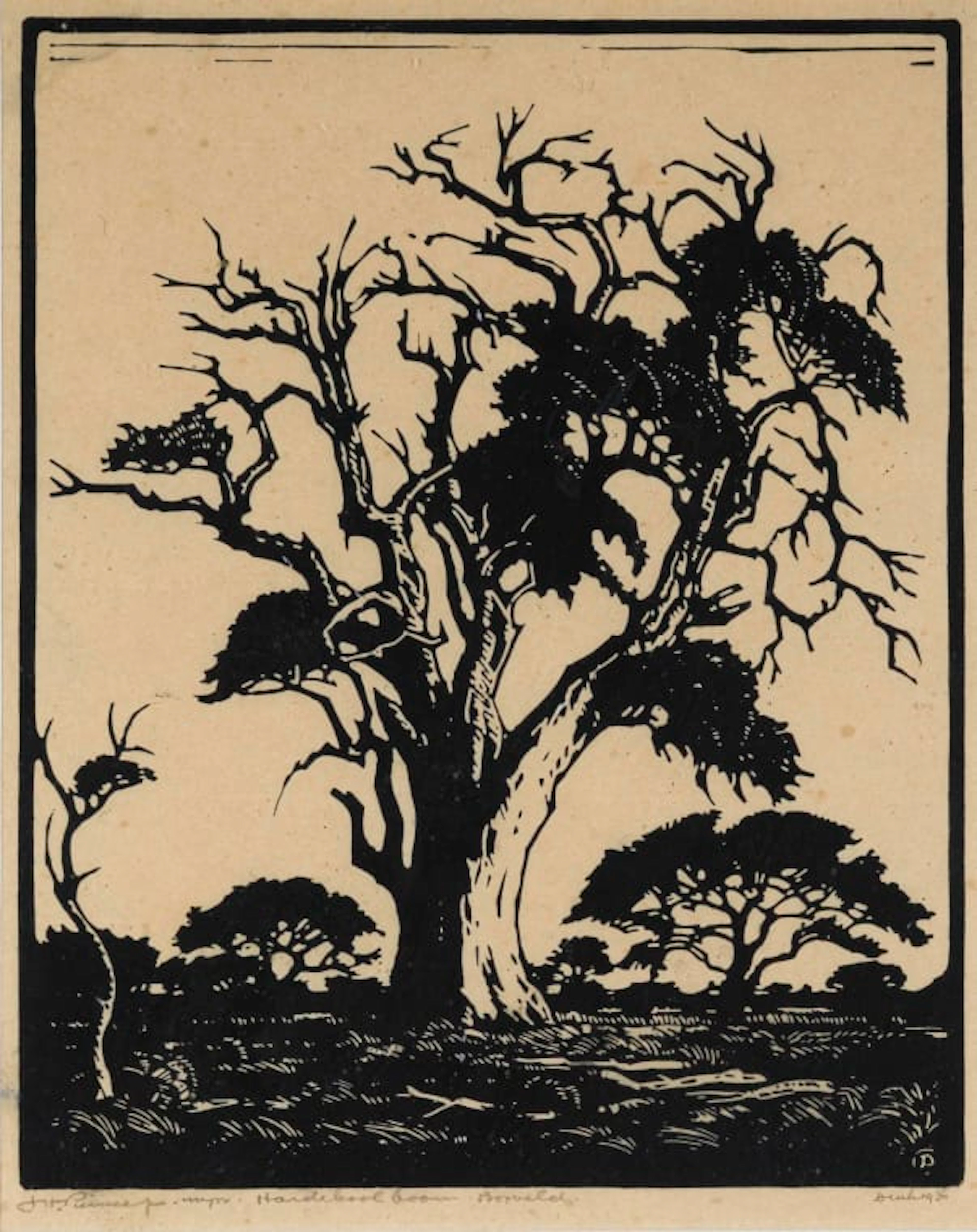 Jacob Hendrik Pierneef; Hardekoolboom, TVL (Nilant 74)