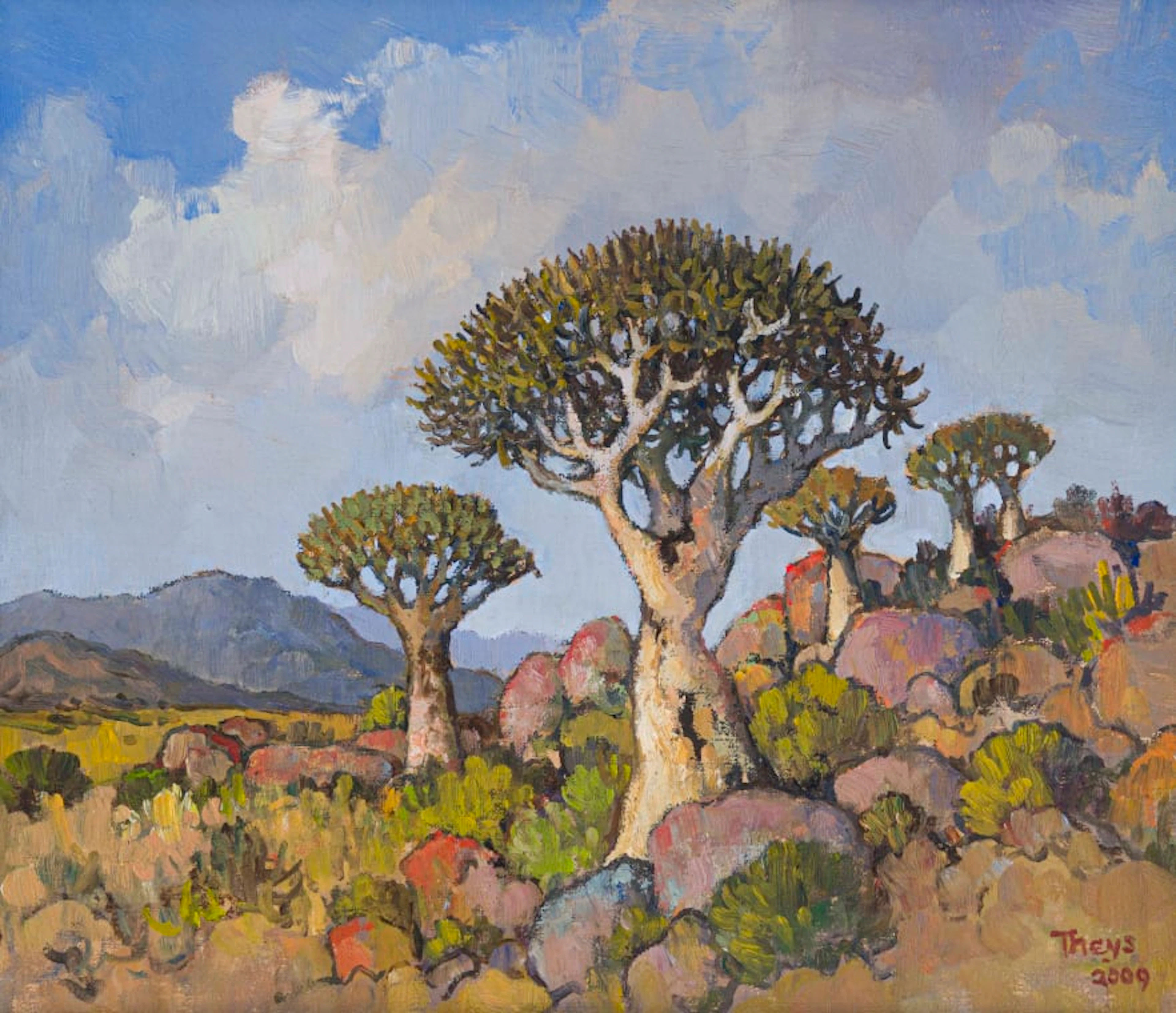 Conrad Theys; Quiver Trees/ Kokerbome, Namaqualand