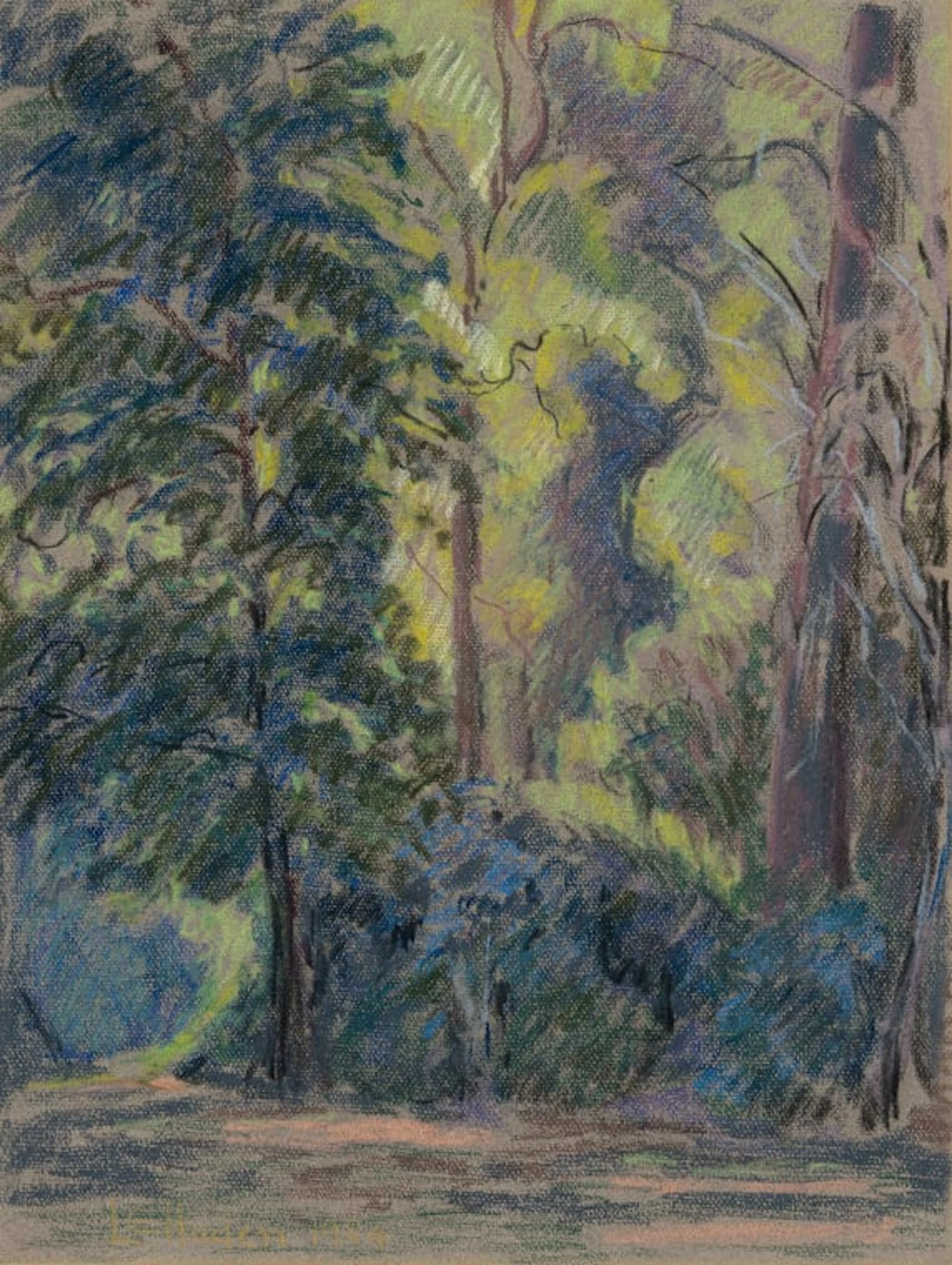 Leonora Everard-Haden; Forest Landscape