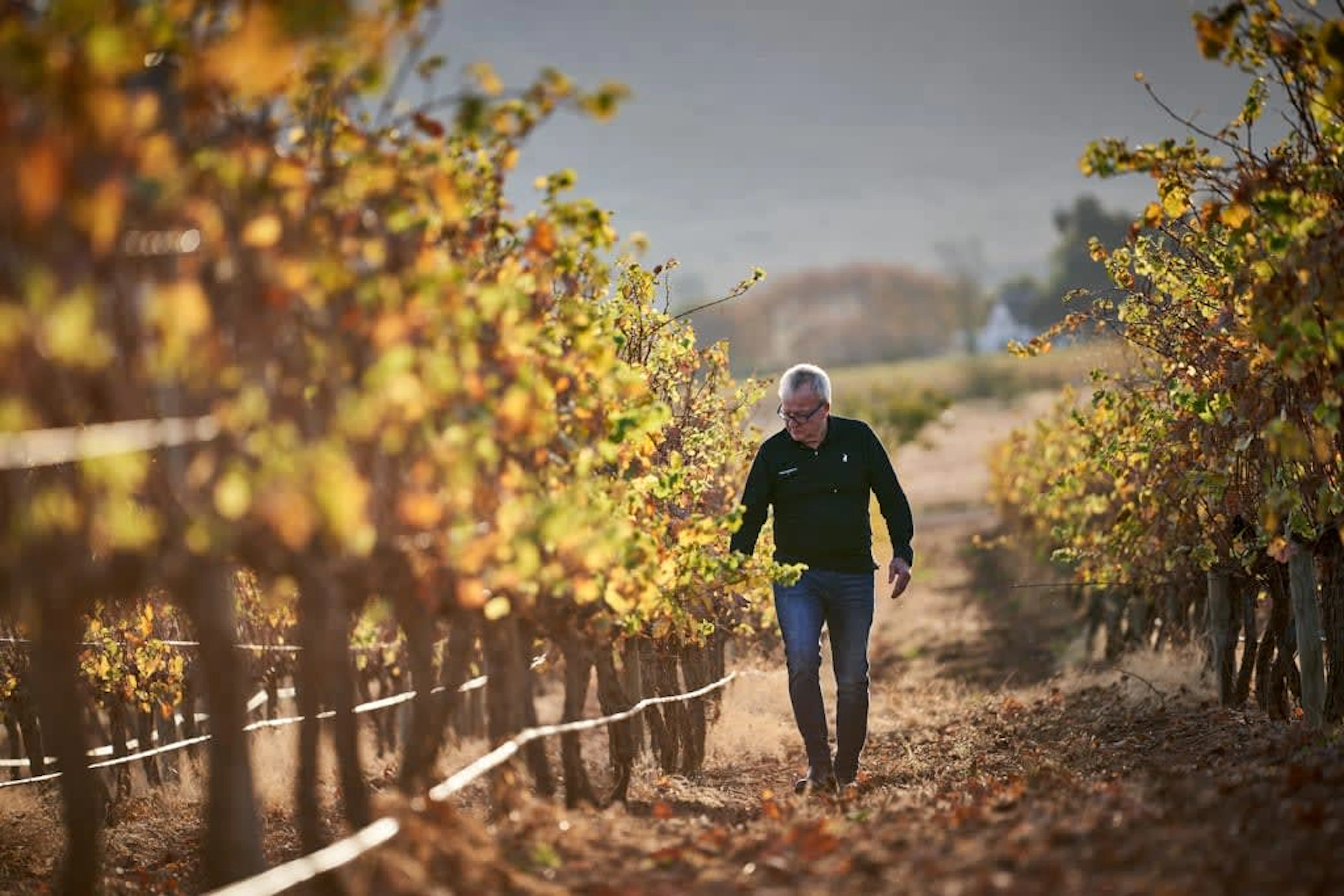 Pieter Ferreira Cap Classique; Blanc de Noirs Pinot Noir; 2019; 24