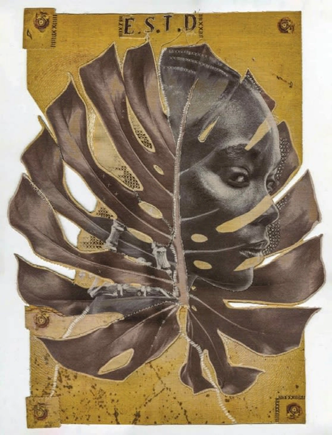 Justin Dingwall; Adrift